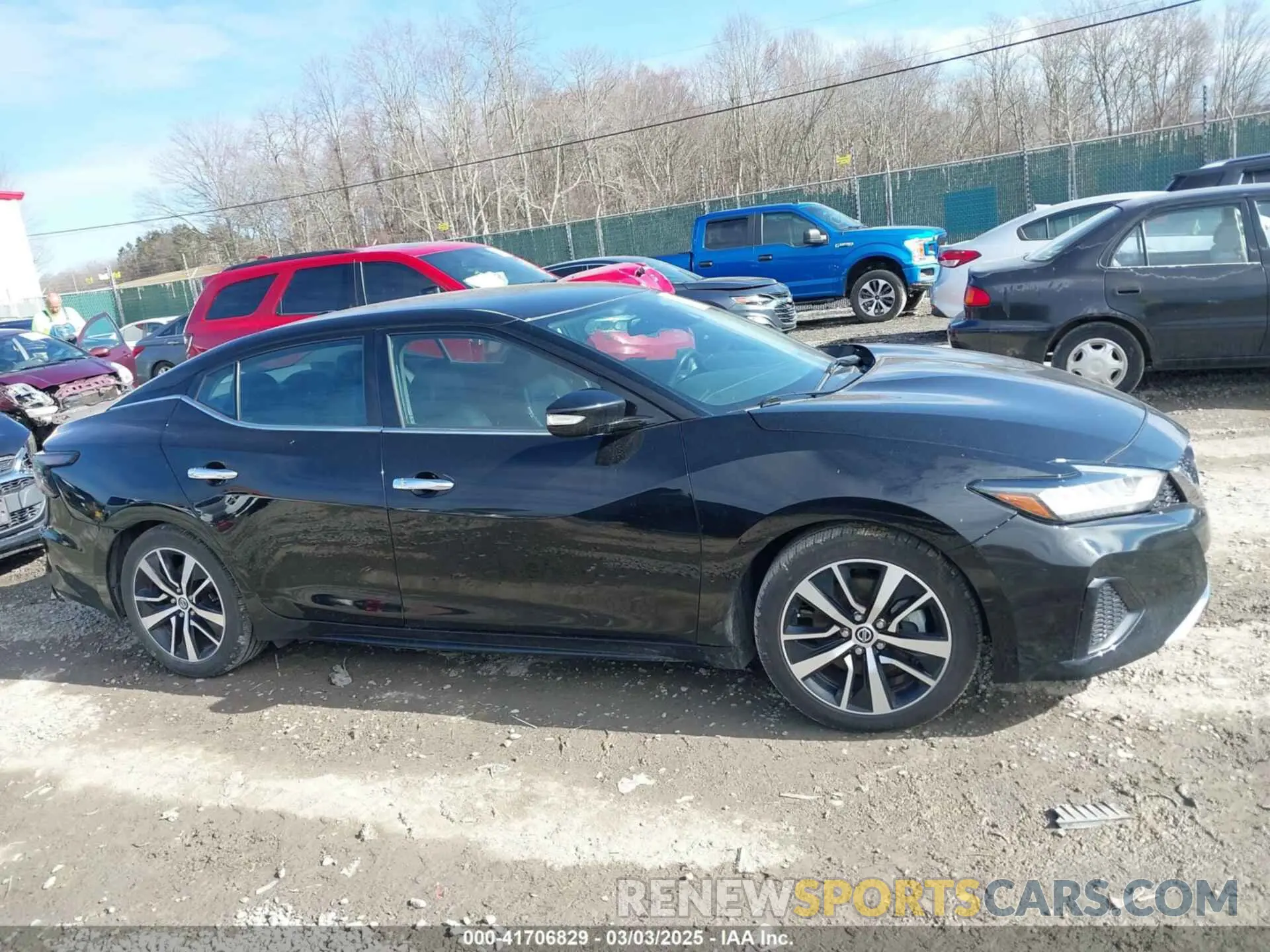 13 fotografías del automóvil dañado 1N4AA6CV5MC513640 NISSAN MAXIMA 2021