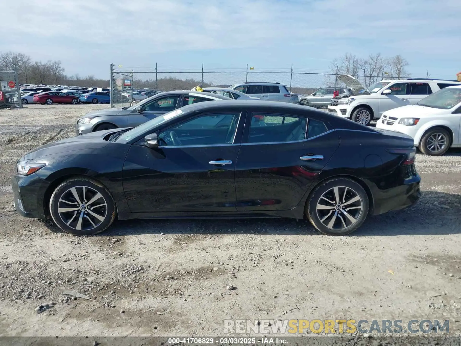 14 fotografías del automóvil dañado 1N4AA6CV5MC513640 NISSAN MAXIMA 2021