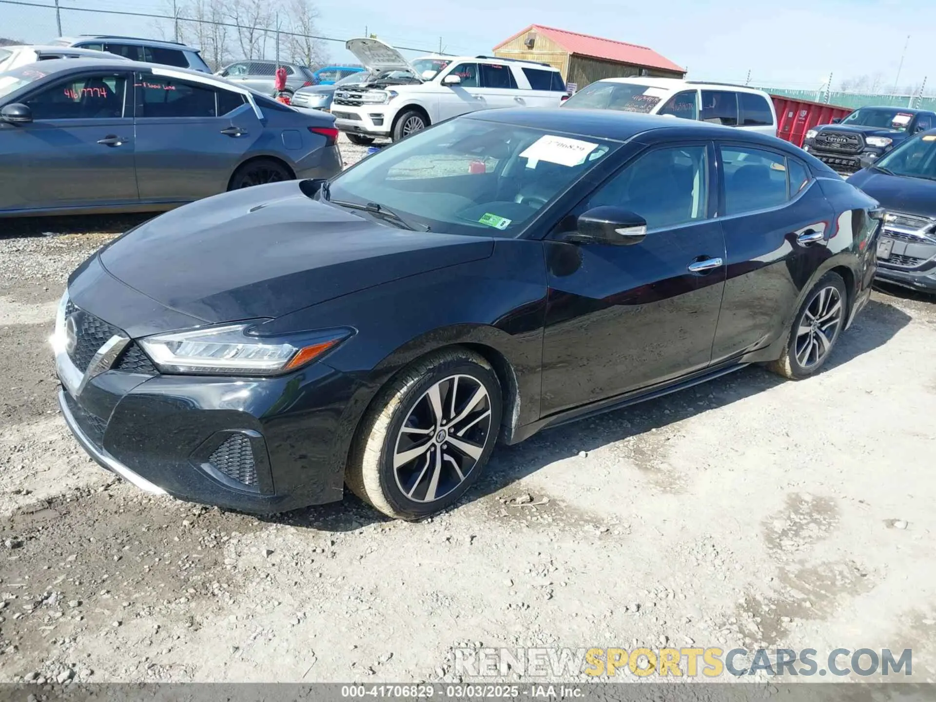 2 fotografías del automóvil dañado 1N4AA6CV5MC513640 NISSAN MAXIMA 2021
