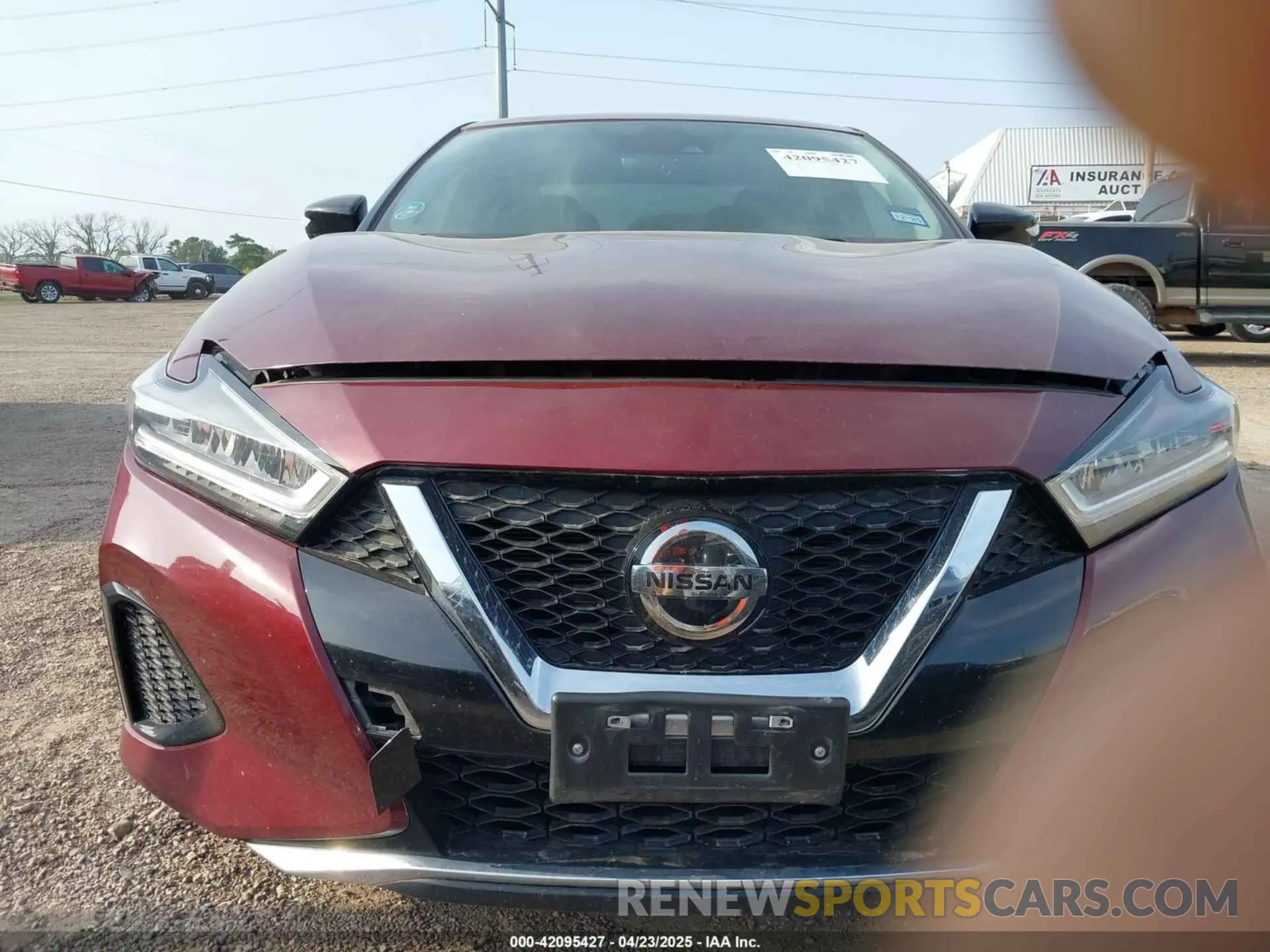6 fotografías del automóvil dañado 1N4AA6CV5MC516067 NISSAN MAXIMA 2021