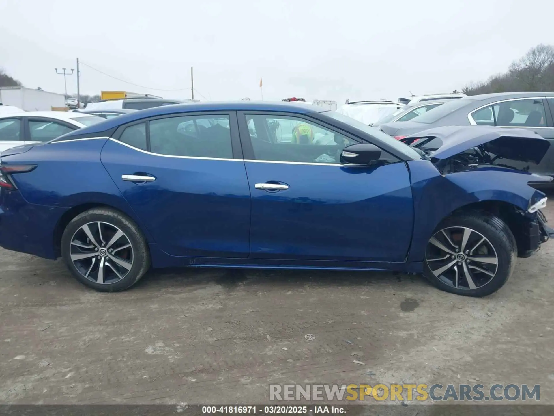 12 fotografías del automóvil dañado 1N4AA6CV6MC507605 NISSAN MAXIMA 2021