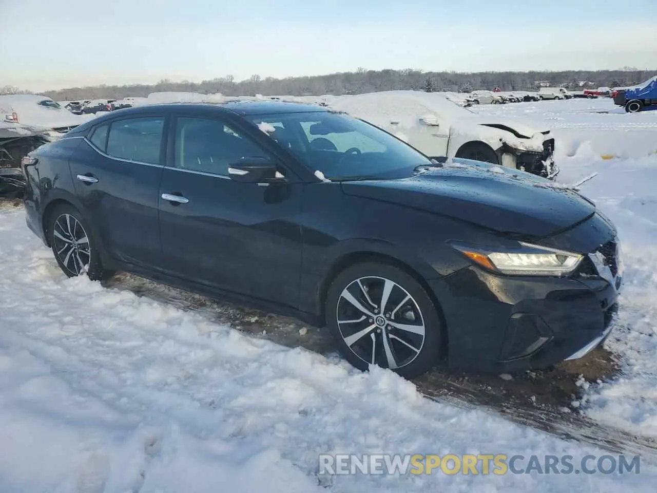 4 fotografías del automóvil dañado 1N4AA6CV6MC512190 NISSAN MAXIMA 2021