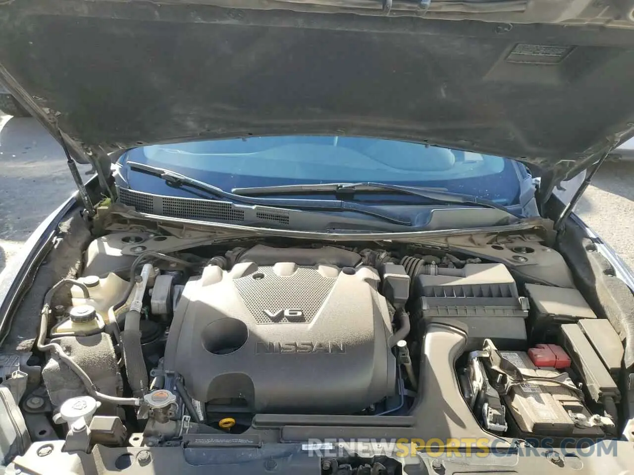 11 fotografías del automóvil dañado 1N4AA6CVXMC503914 NISSAN MAXIMA 2021
