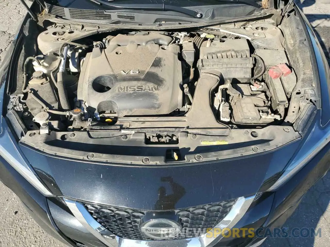 13 fotografías del automóvil dañado 1N4AA6CVXMC508370 NISSAN MAXIMA 2021