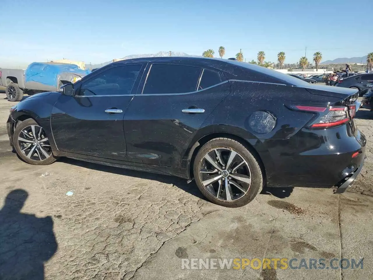 2 fotografías del automóvil dañado 1N4AA6CVXMC508370 NISSAN MAXIMA 2021