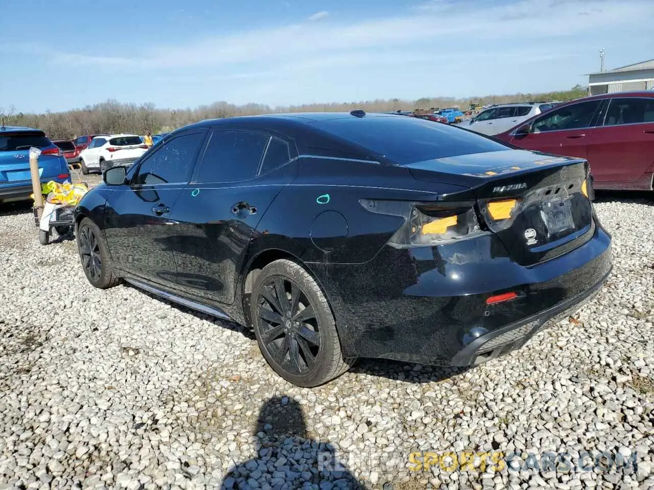 2 fotografías del automóvil dañado 1N4AA6EV2MC502589 NISSAN MAXIMA 2021