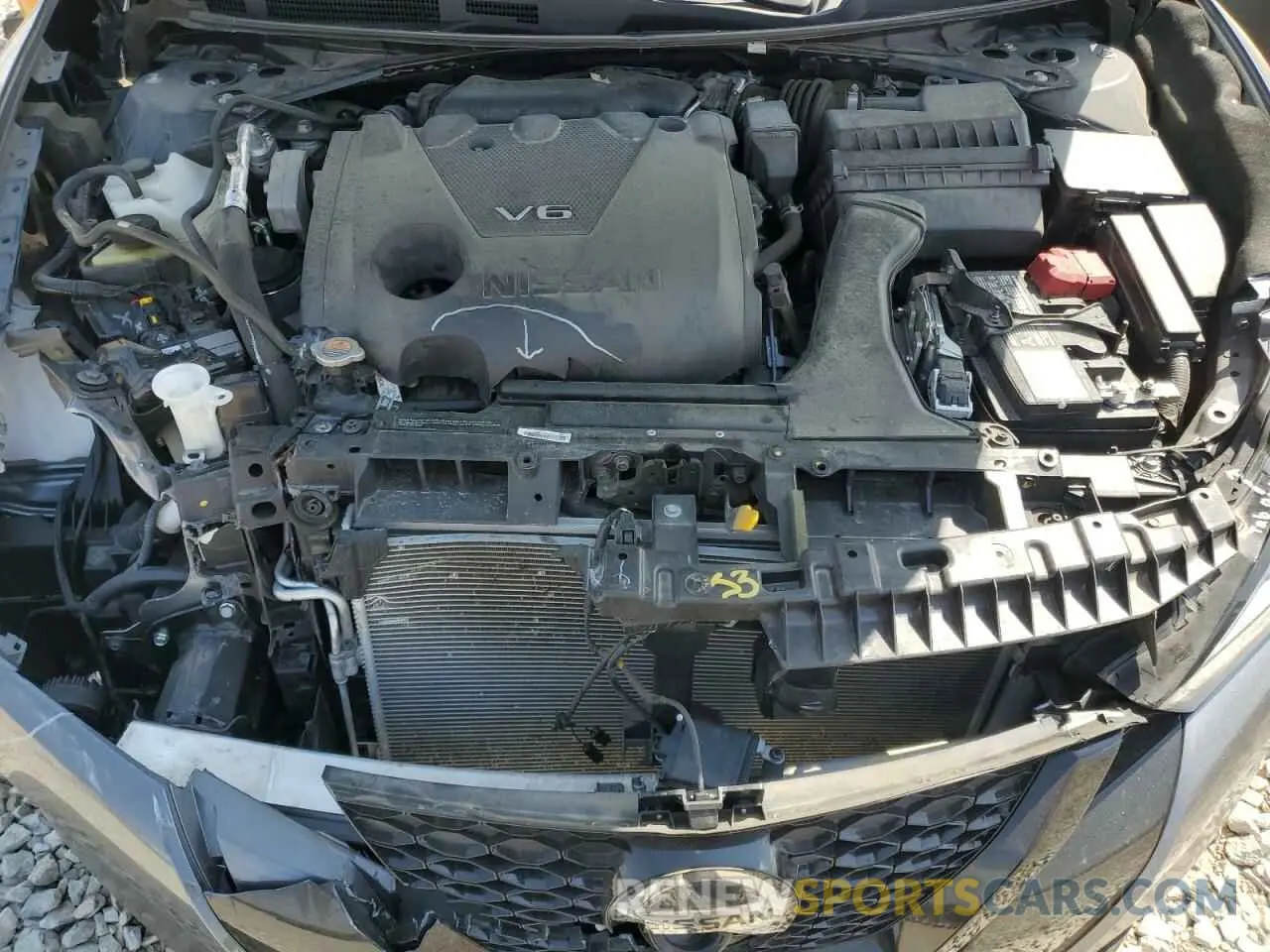 13 fotografías del automóvil dañado 1N4AA6EV2MC511602 NISSAN MAXIMA 2021