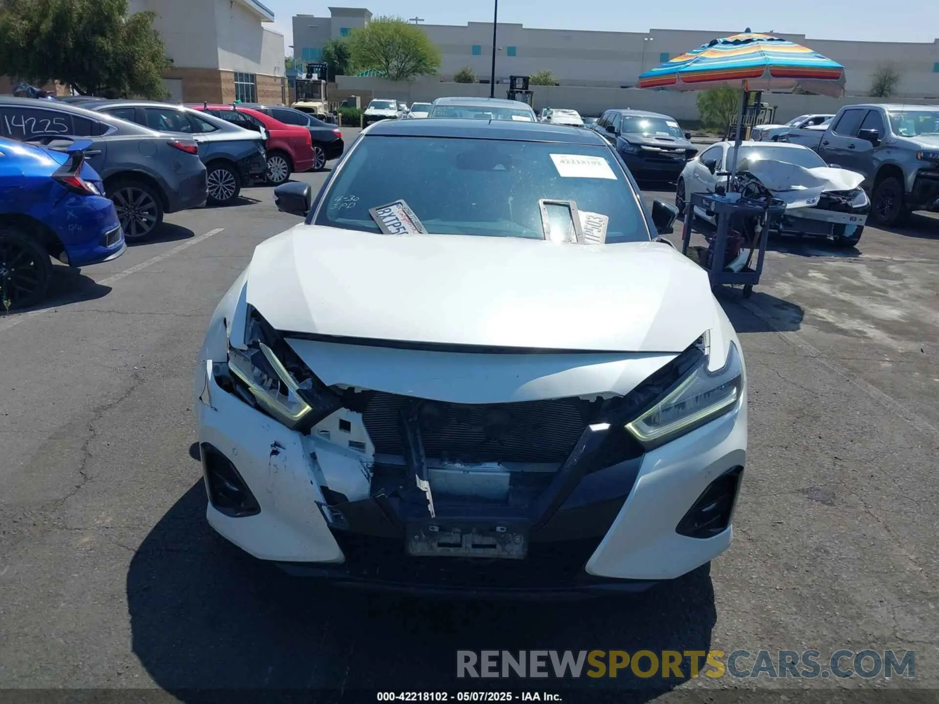 12 fotografías del automóvil dañado 1N4AA6EV4MC515490 NISSAN MAXIMA 2021