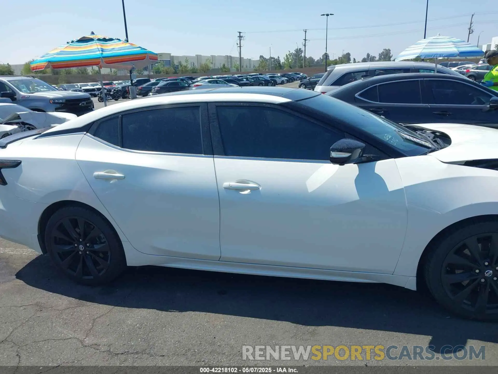 13 fotografías del automóvil dañado 1N4AA6EV4MC515490 NISSAN MAXIMA 2021