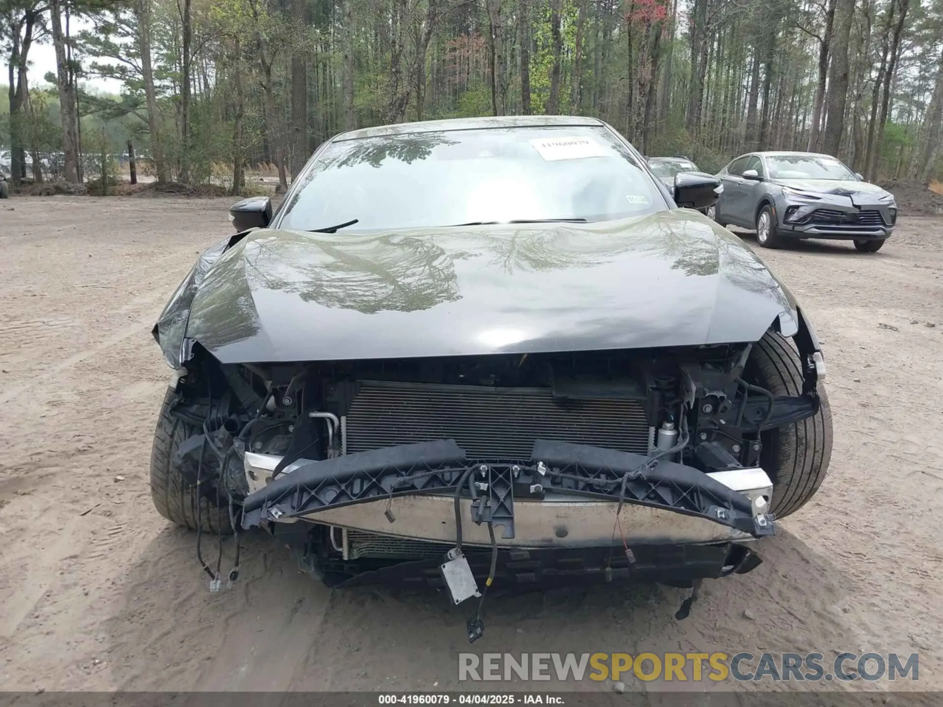 12 fotografías del automóvil dañado 1N4AA6EV6MC501848 NISSAN MAXIMA 2021