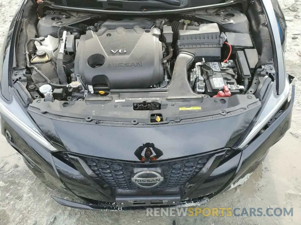 11 fotografías del automóvil dañado 1N4AA6EV6MC508394 NISSAN MAXIMA 2021