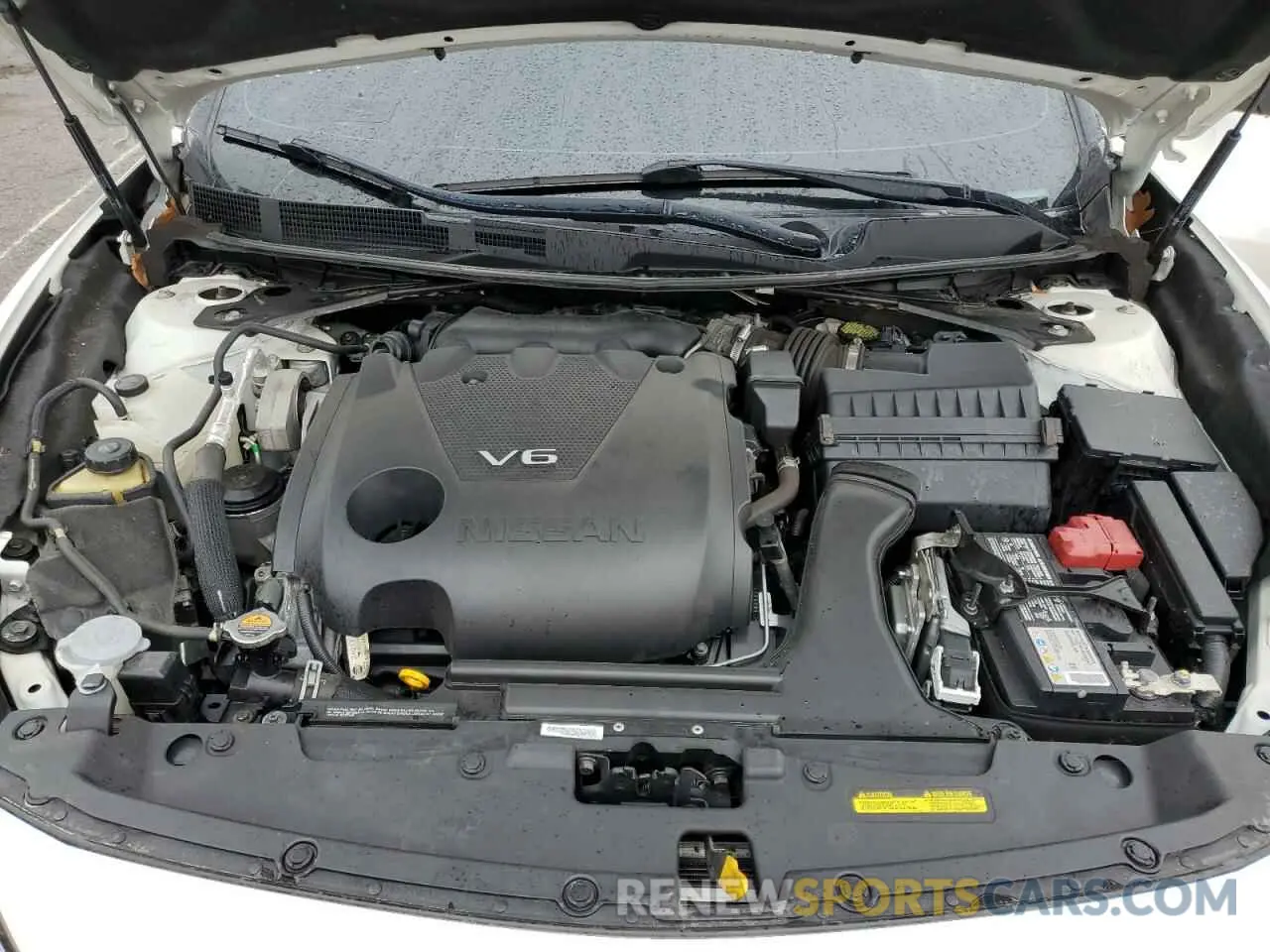 11 fotografías del automóvil dañado 1N4AA6EV7MC502541 NISSAN MAXIMA 2021