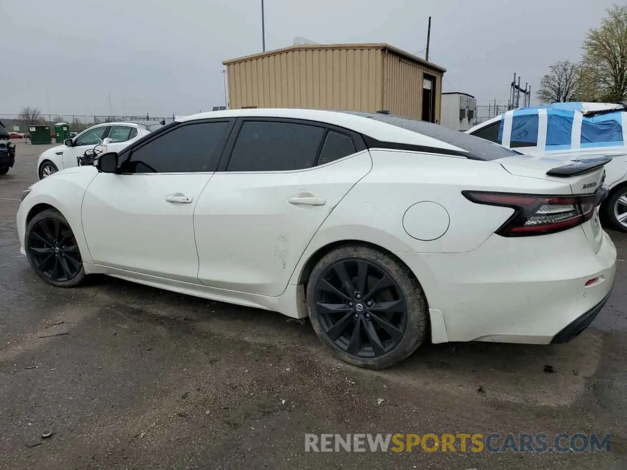 2 fotografías del automóvil dañado 1N4AA6EV7MC502541 NISSAN MAXIMA 2021