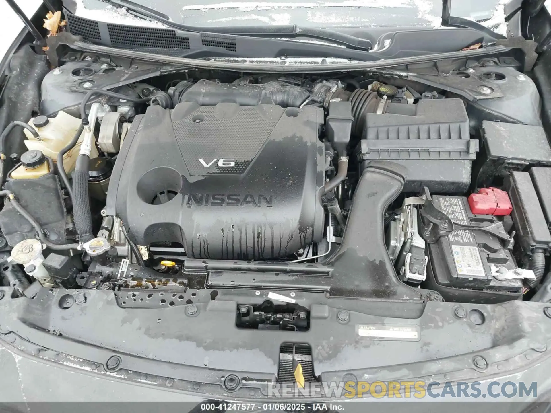 10 fotografías del automóvil dañado 1N4AA6EV8MC501821 NISSAN MAXIMA 2021