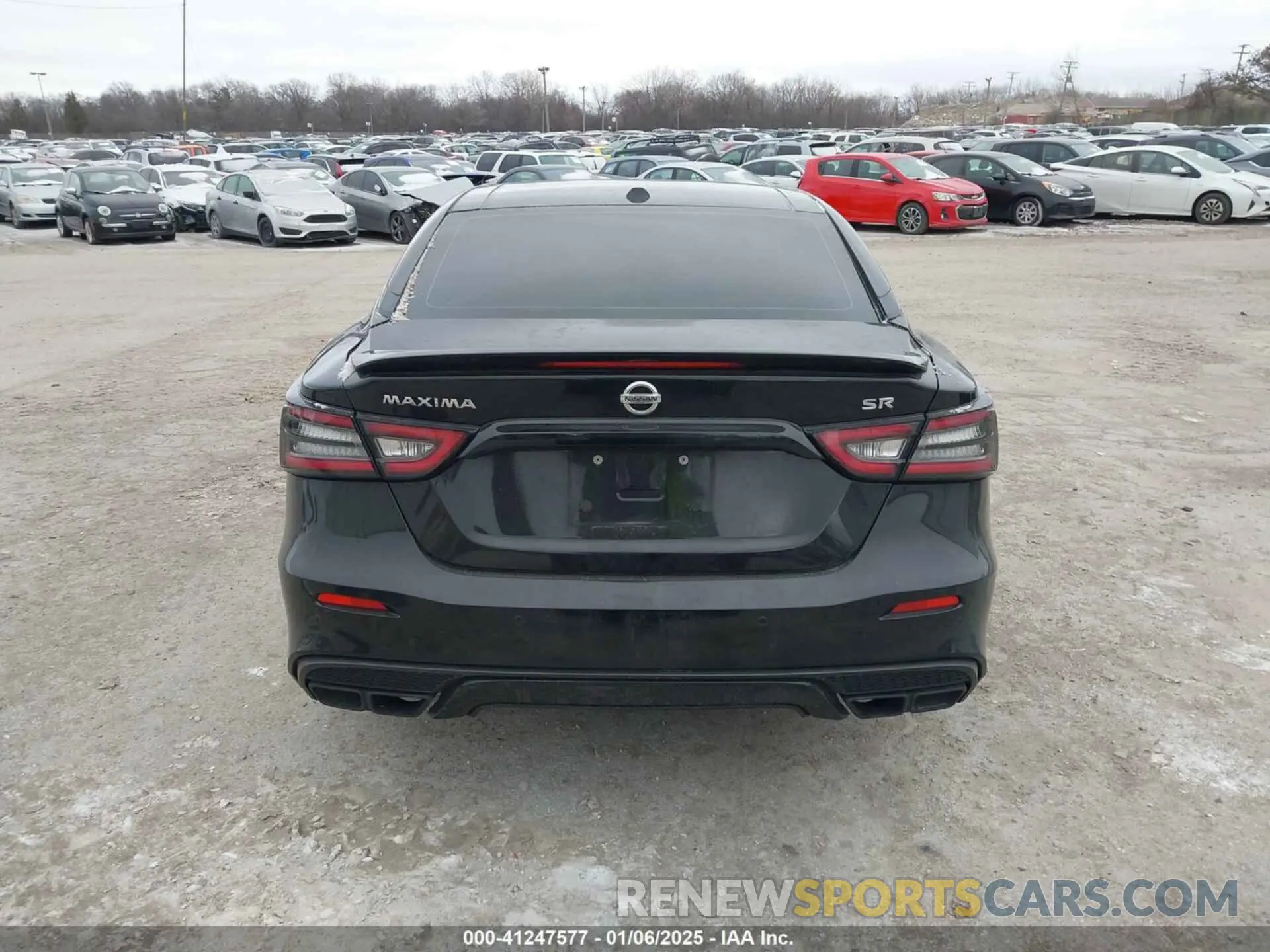 16 fotografías del automóvil dañado 1N4AA6EV8MC501821 NISSAN MAXIMA 2021
