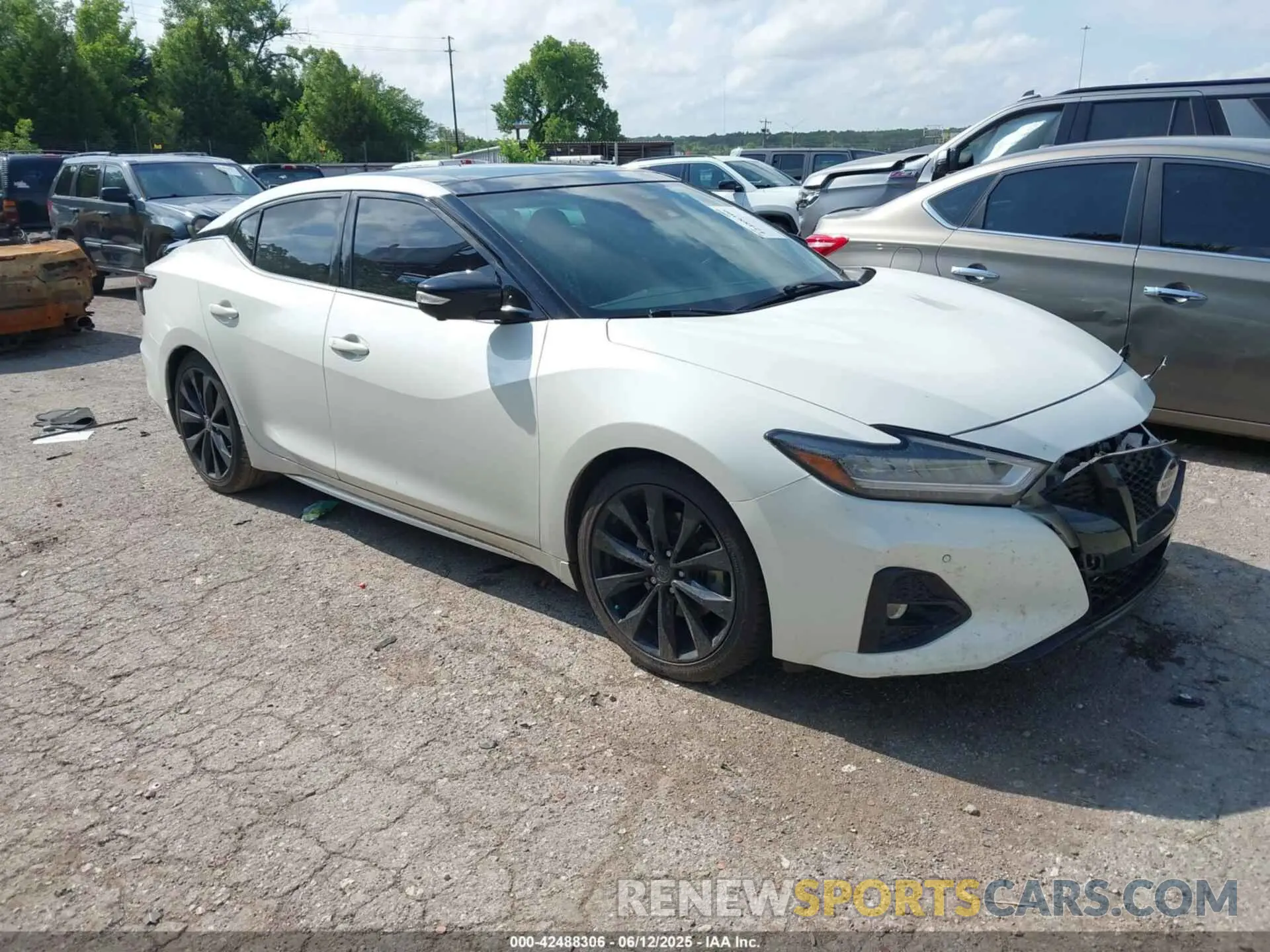 1 fotografías del automóvil dañado 1N4AA6EV8MC503360 NISSAN MAXIMA 2021