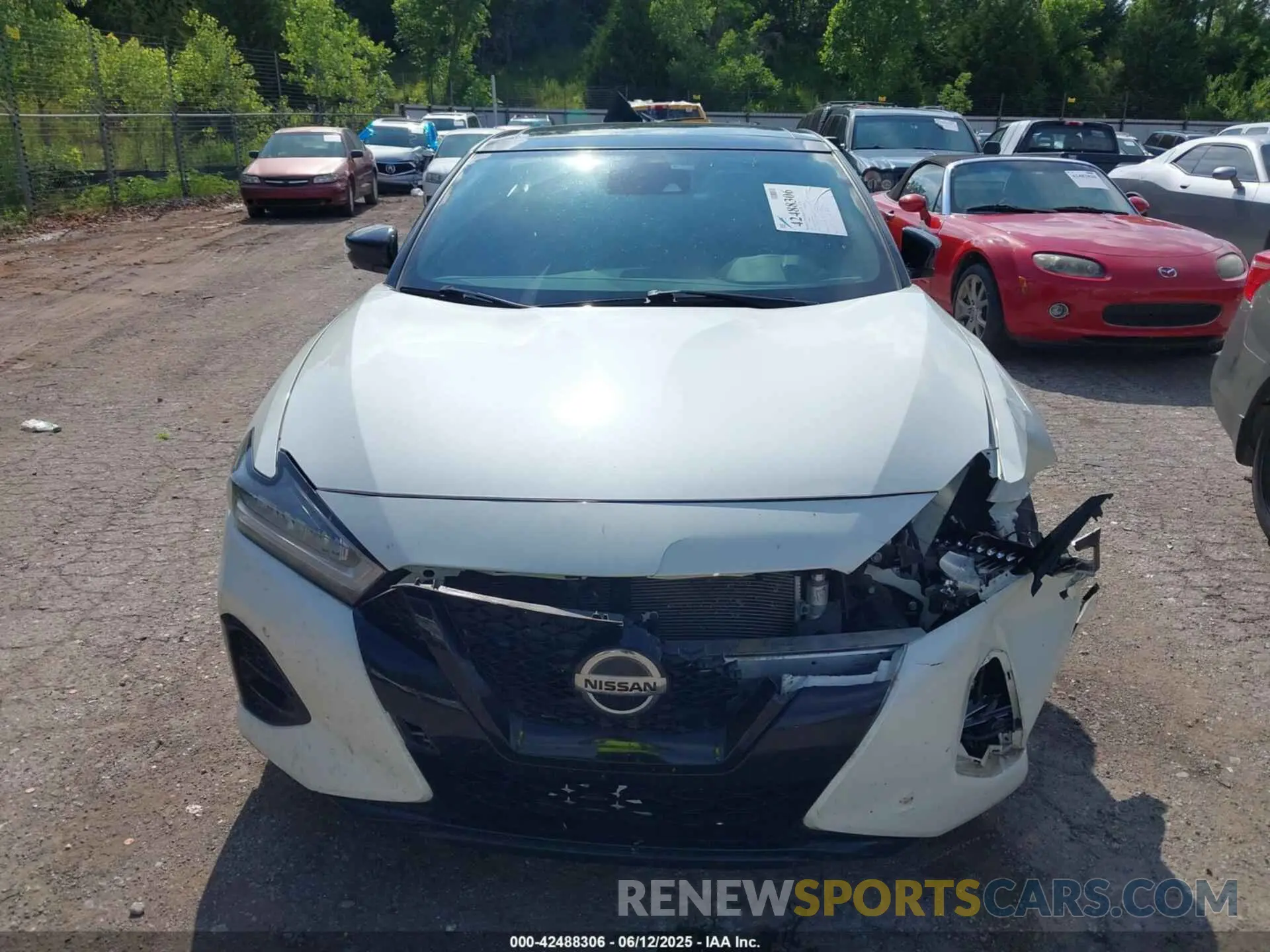 12 fotografías del automóvil dañado 1N4AA6EV8MC503360 NISSAN MAXIMA 2021