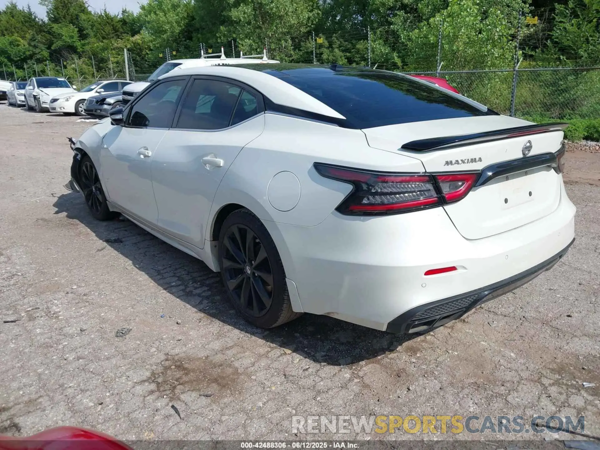 3 fotografías del automóvil dañado 1N4AA6EV8MC503360 NISSAN MAXIMA 2021