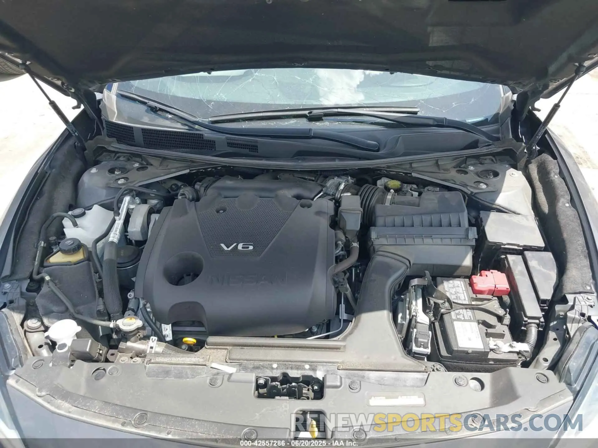 10 fotografías del automóvil dañado 1N4AA6FV0MC507840 NISSAN MAXIMA 2021