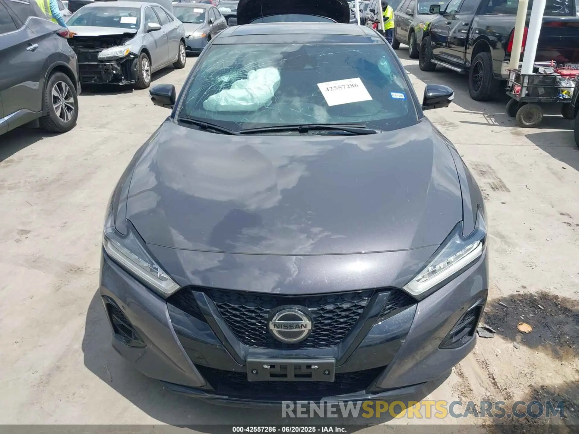 12 fotografías del automóvil dañado 1N4AA6FV0MC507840 NISSAN MAXIMA 2021
