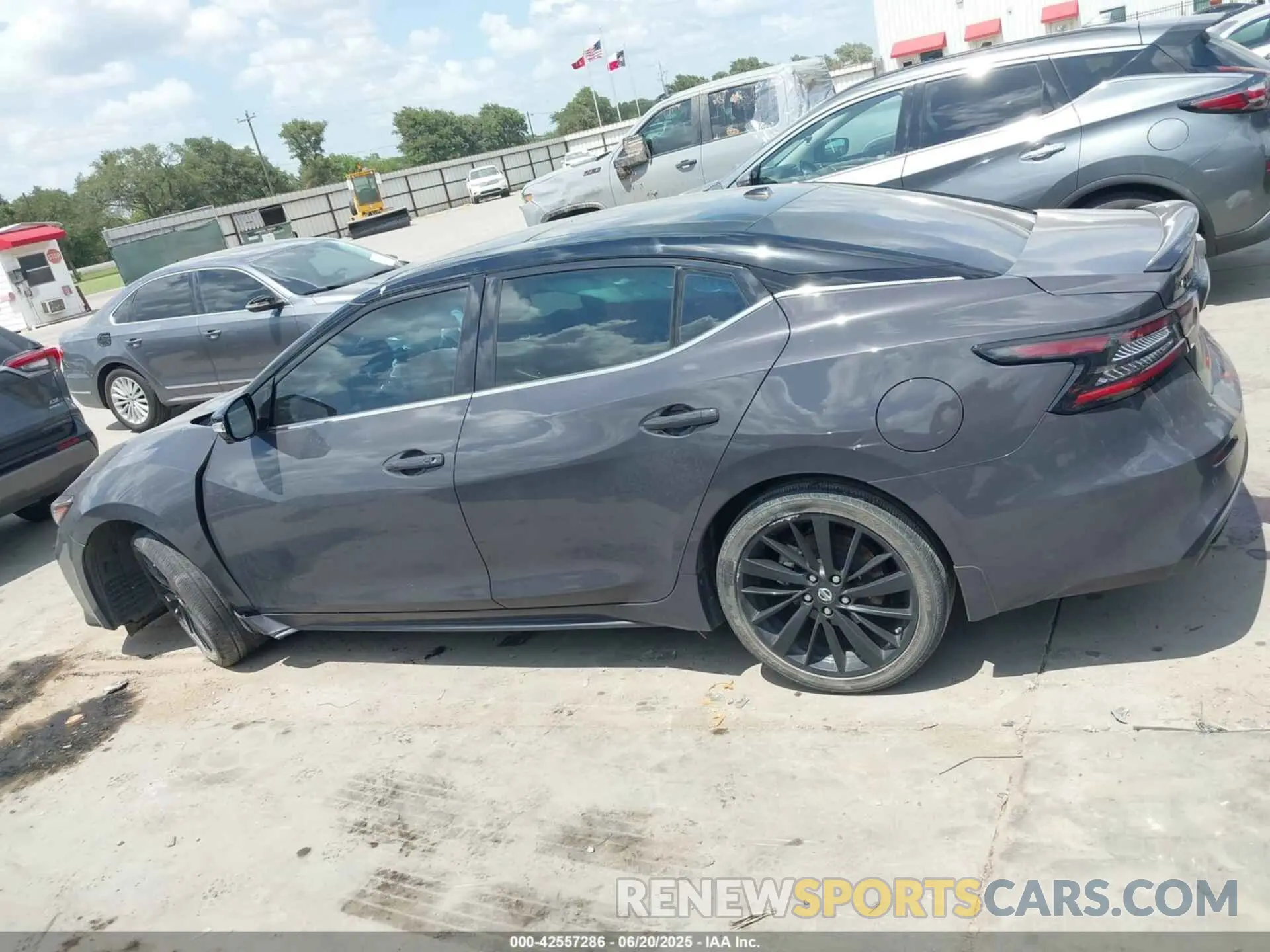 14 fotografías del automóvil dañado 1N4AA6FV0MC507840 NISSAN MAXIMA 2021