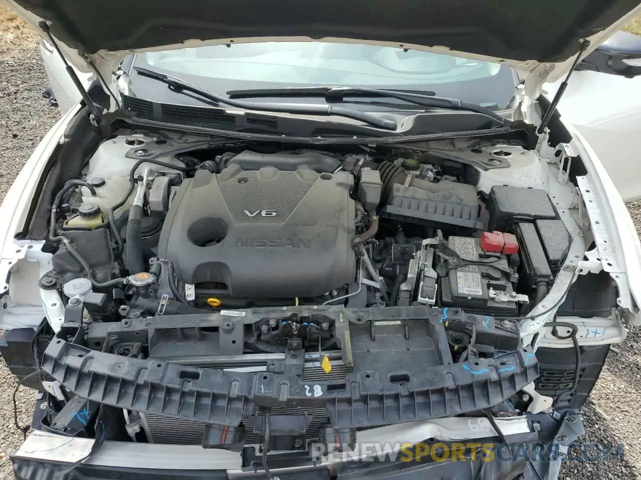 11 fotografías del automóvil dañado 1N4AA6FV2MC516393 NISSAN MAXIMA 2021