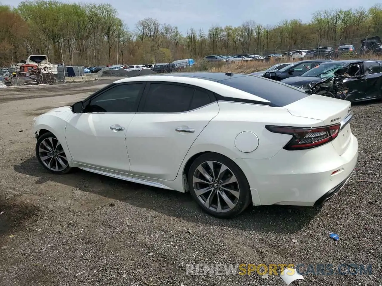 2 fotografías del automóvil dañado 1N4AA6FV2MC516393 NISSAN MAXIMA 2021