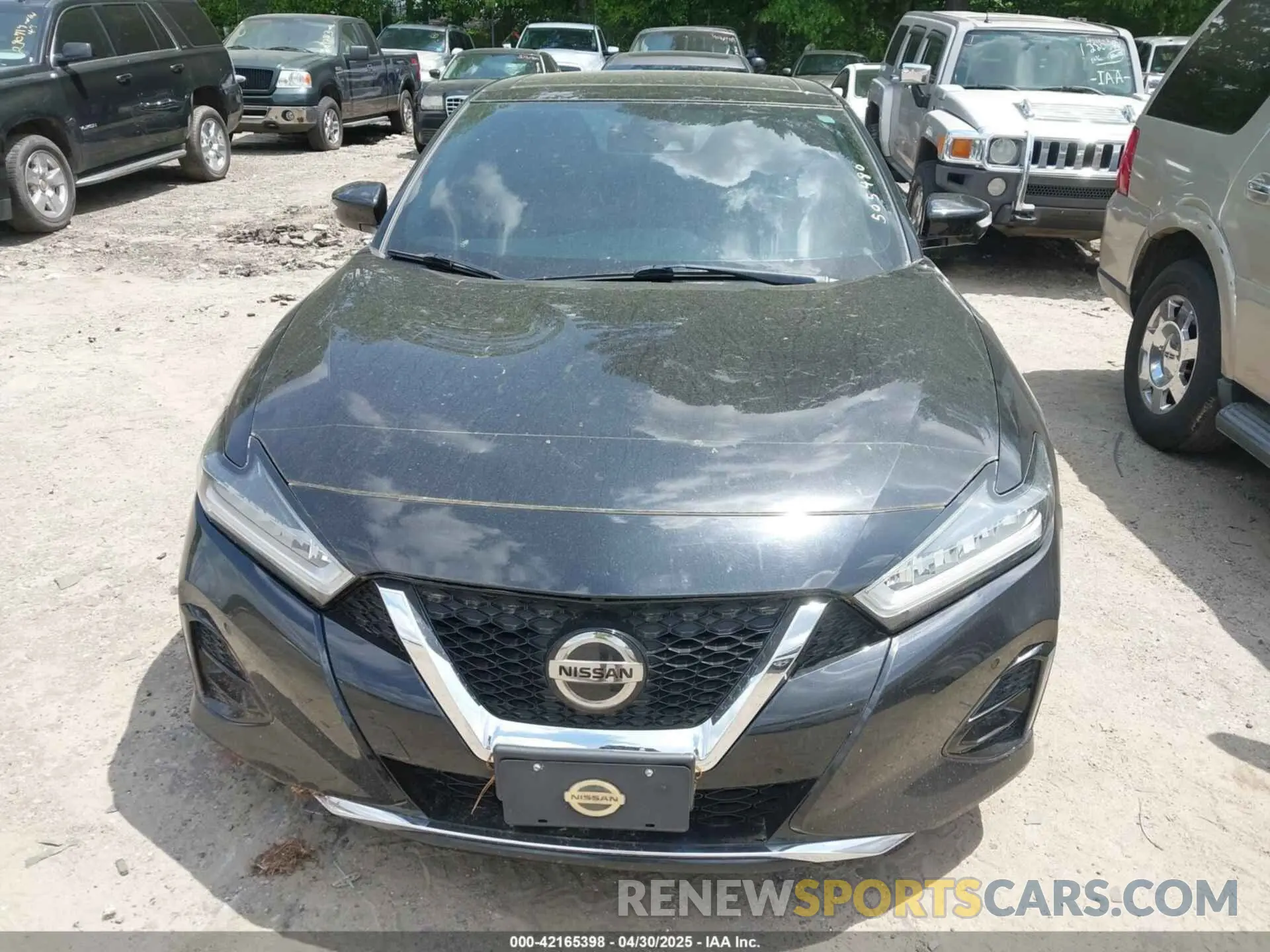 11 fotografías del automóvil dañado 1N4AA6FV8MC505480 NISSAN MAXIMA 2021