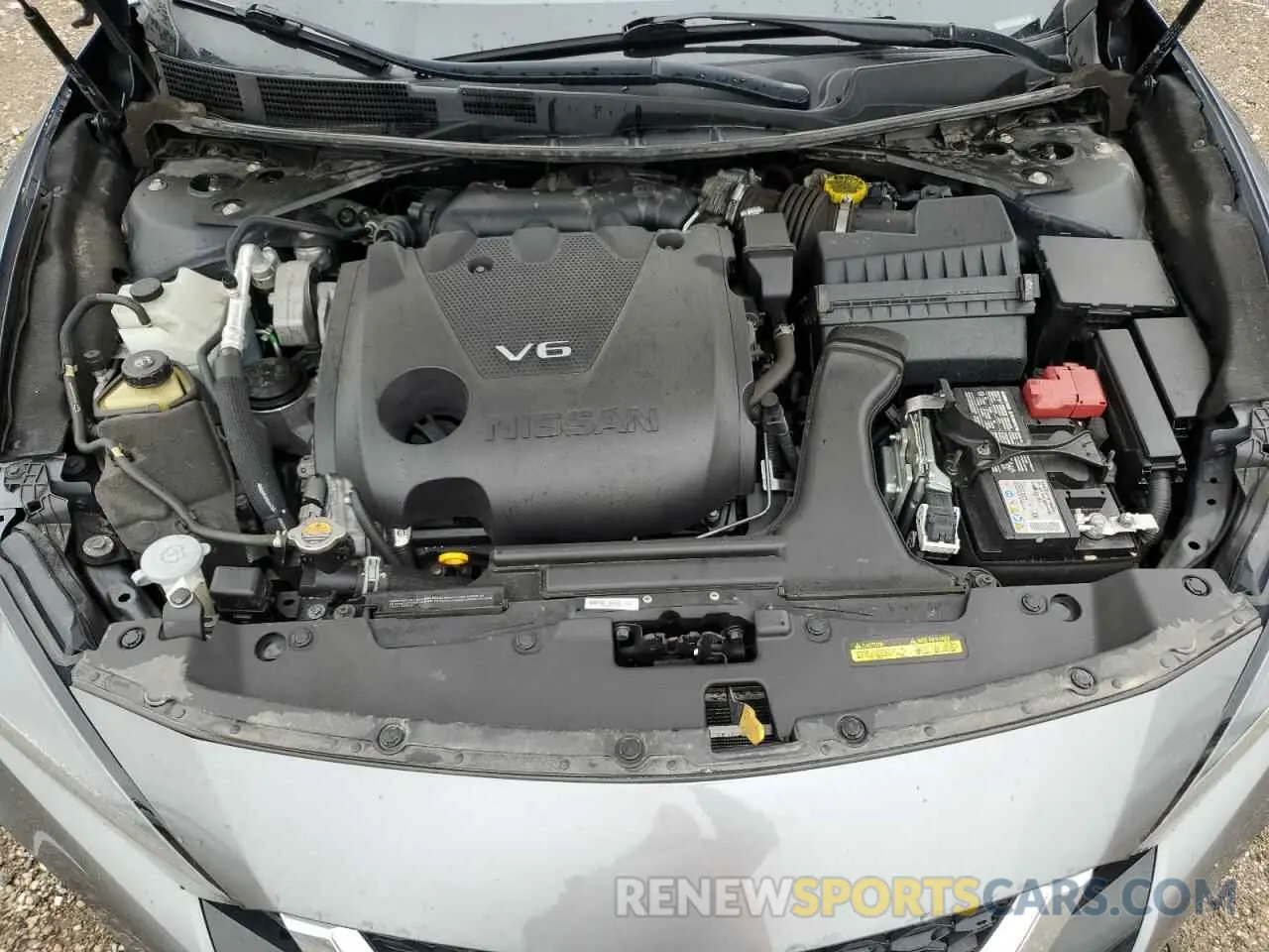 11 fotografías del automóvil dañado 1N4AA6CV1NC504841 NISSAN MAXIMA 2022