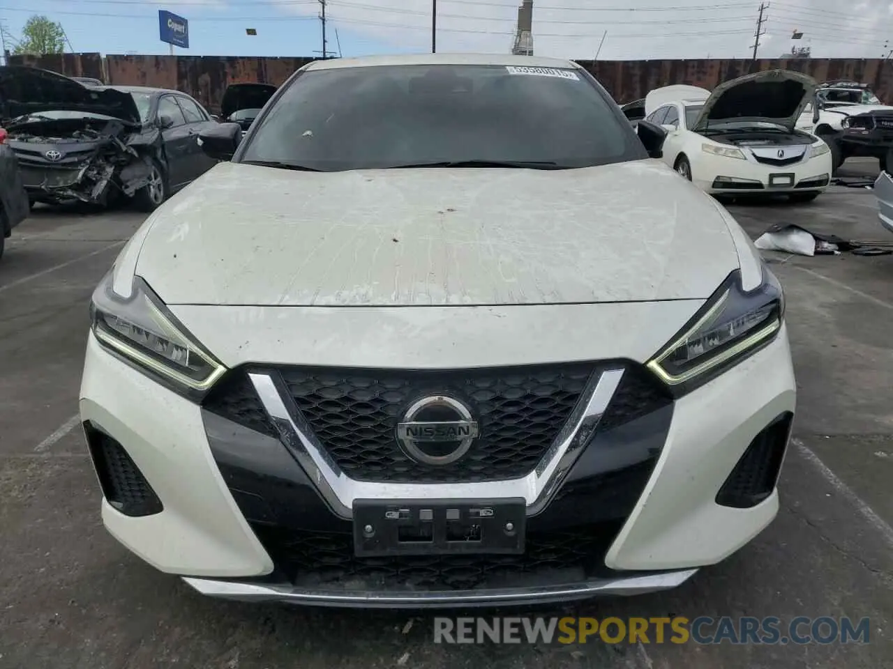 5 fotografías del automóvil dañado 1N4AA6CV6NC502180 NISSAN MAXIMA 2022