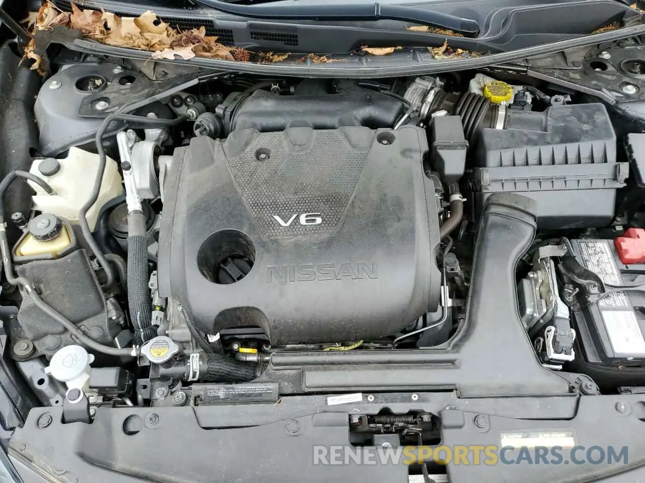 11 fotografías del automóvil dañado 1N4AA6CV7NC505556 NISSAN MAXIMA 2022
