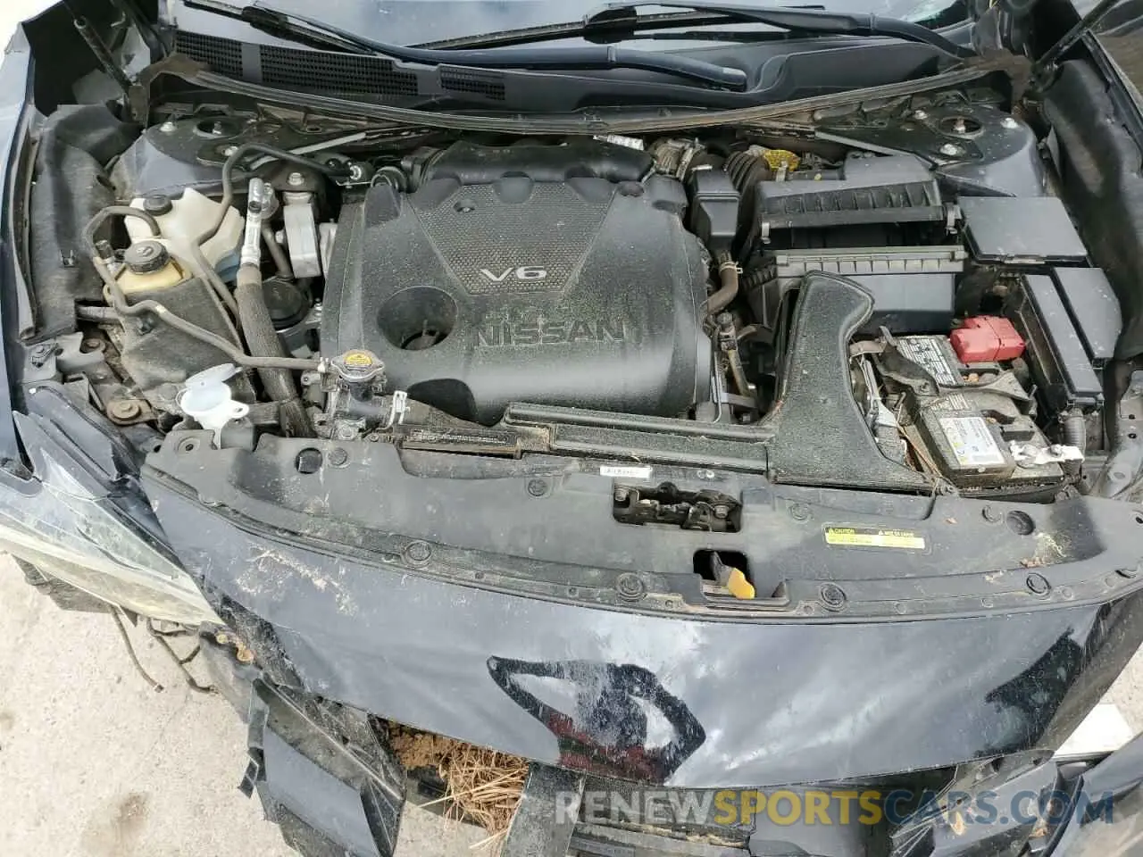 11 fotografías del automóvil dañado 1N4AA6FV0NC504826 NISSAN MAXIMA 2022