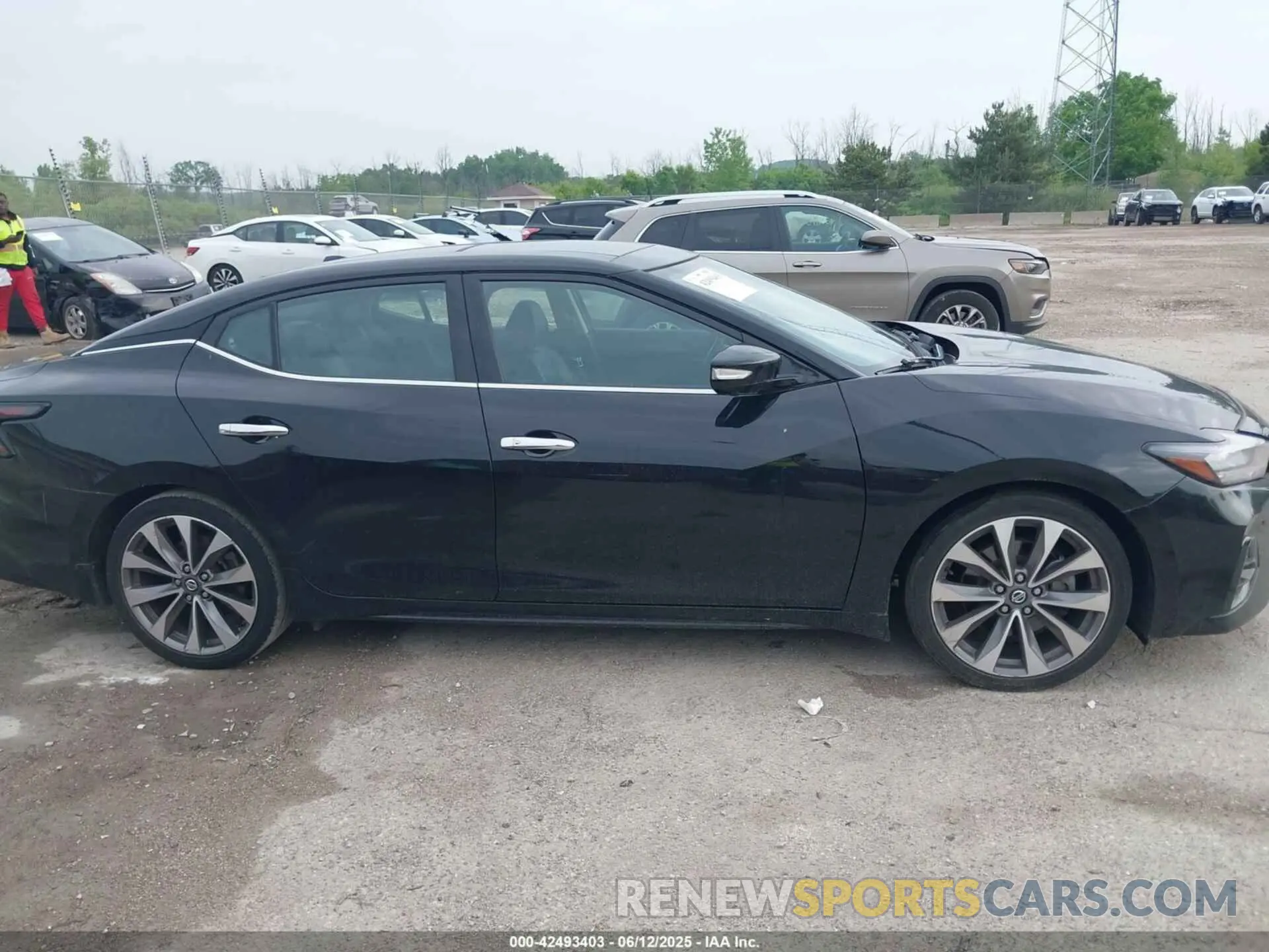 12 fotografías del automóvil dañado 1N4AA6FVXNC504851 NISSAN MAXIMA 2022