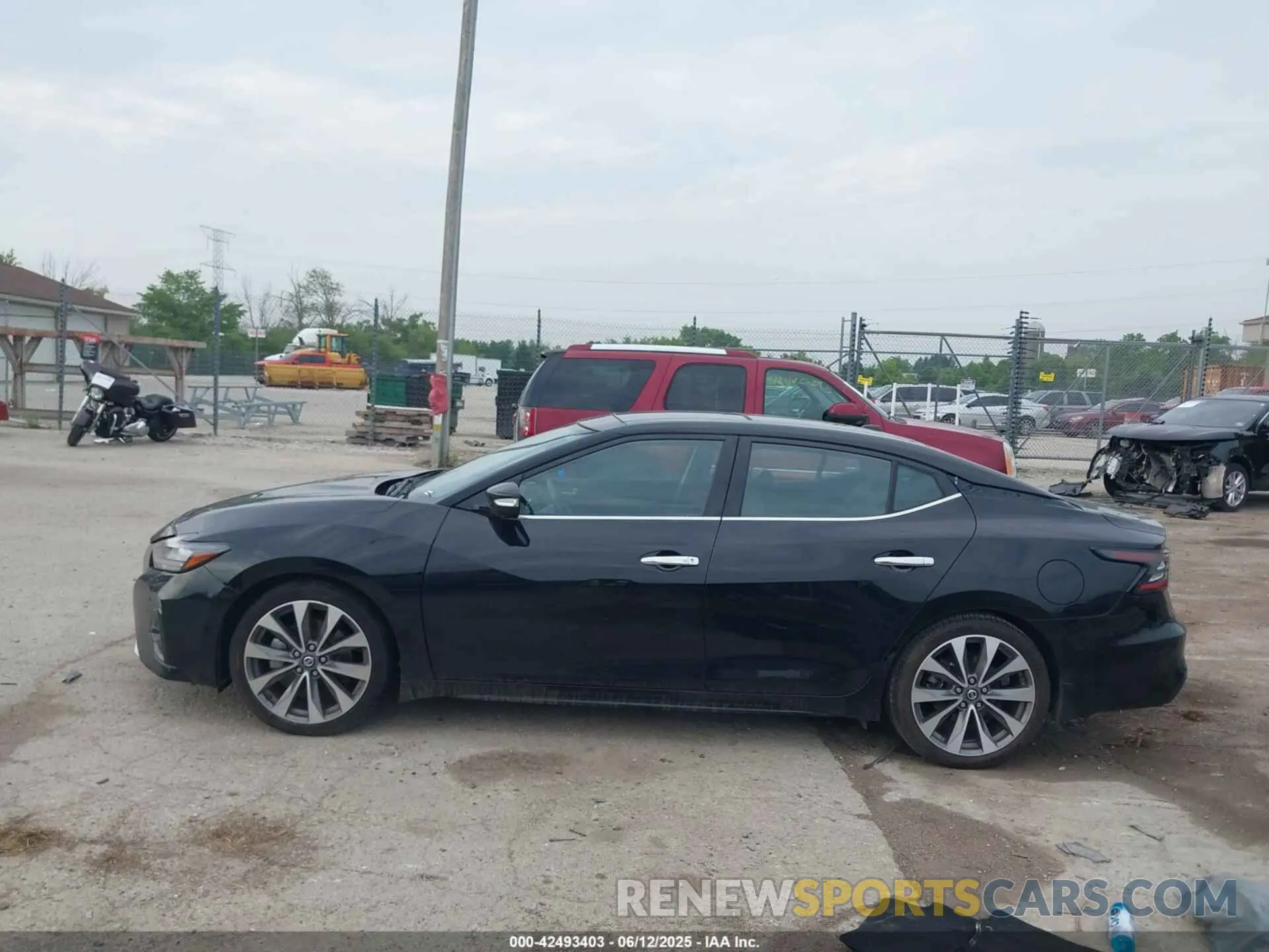 13 fotografías del automóvil dañado 1N4AA6FVXNC504851 NISSAN MAXIMA 2022