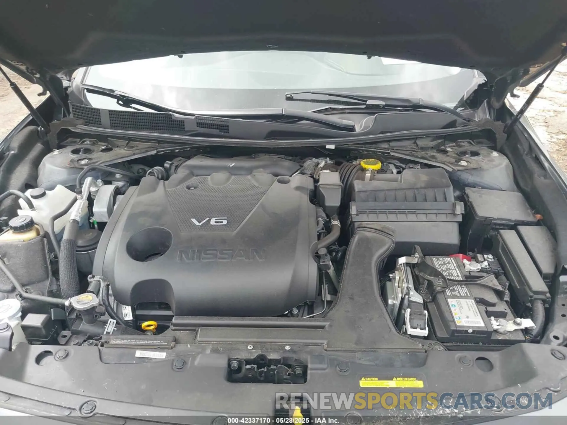 10 fotografías del automóvil dañado 1N4AA6CV0PC510472 NISSAN MAXIMA 2023