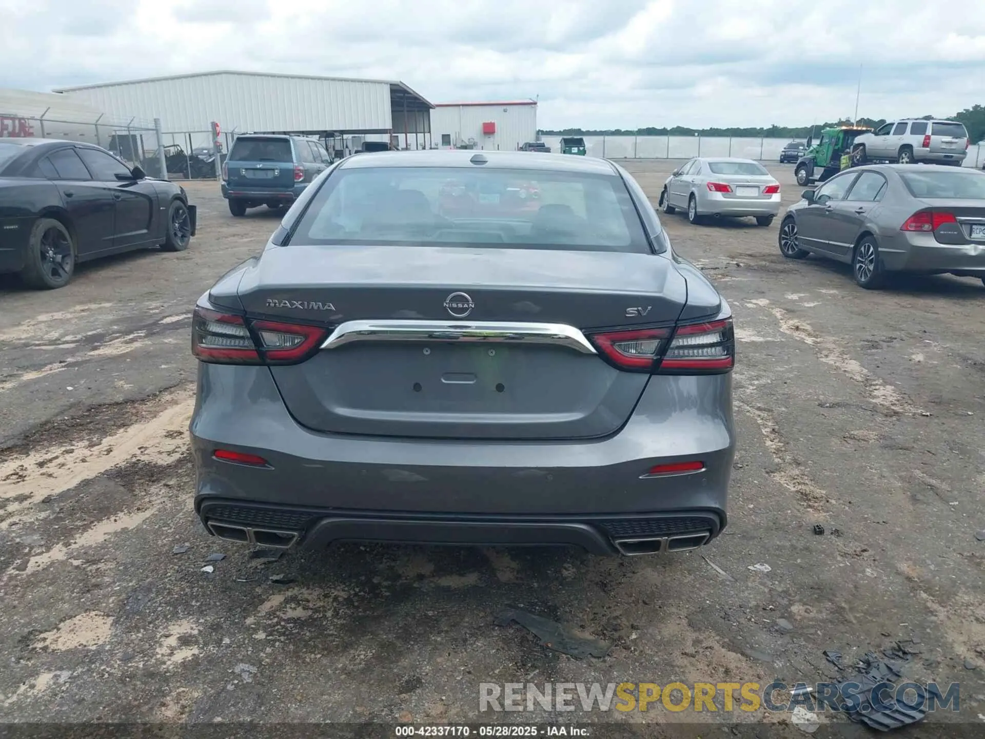 16 fotografías del automóvil dañado 1N4AA6CV0PC510472 NISSAN MAXIMA 2023