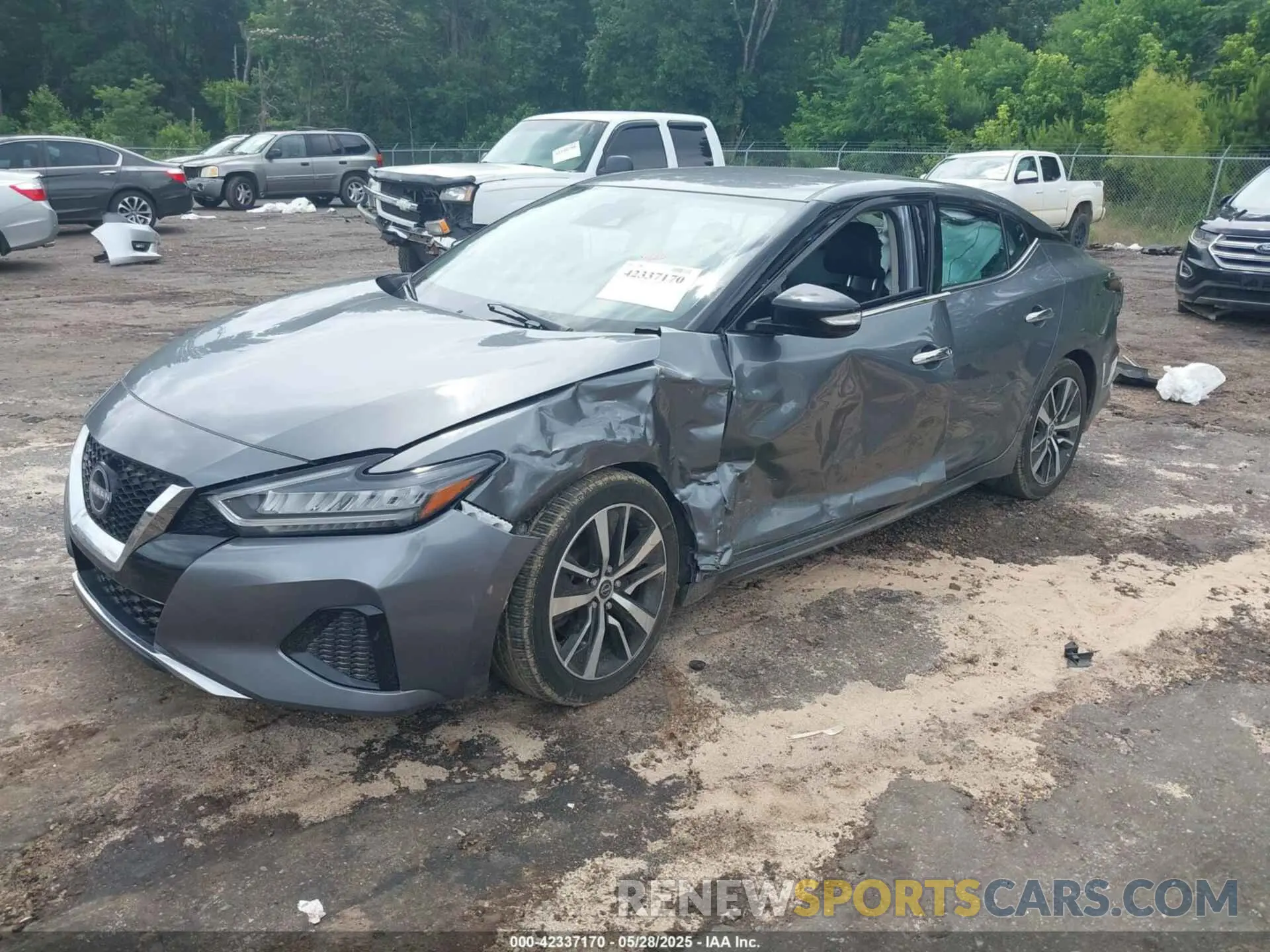 2 fotografías del automóvil dañado 1N4AA6CV0PC510472 NISSAN MAXIMA 2023
