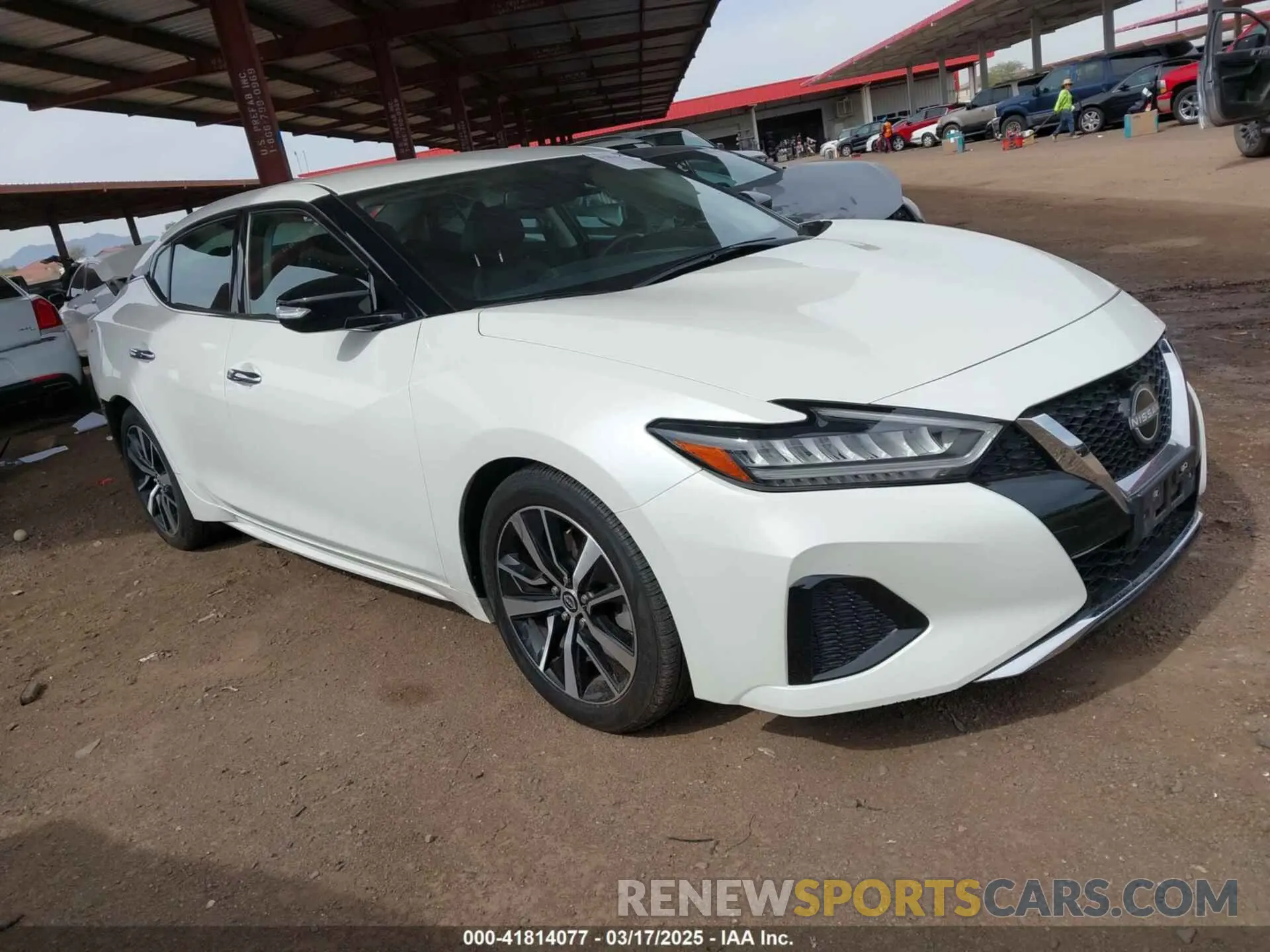 1 fotografías del automóvil dañado 1N4AA6CV2PC509307 NISSAN MAXIMA 2023