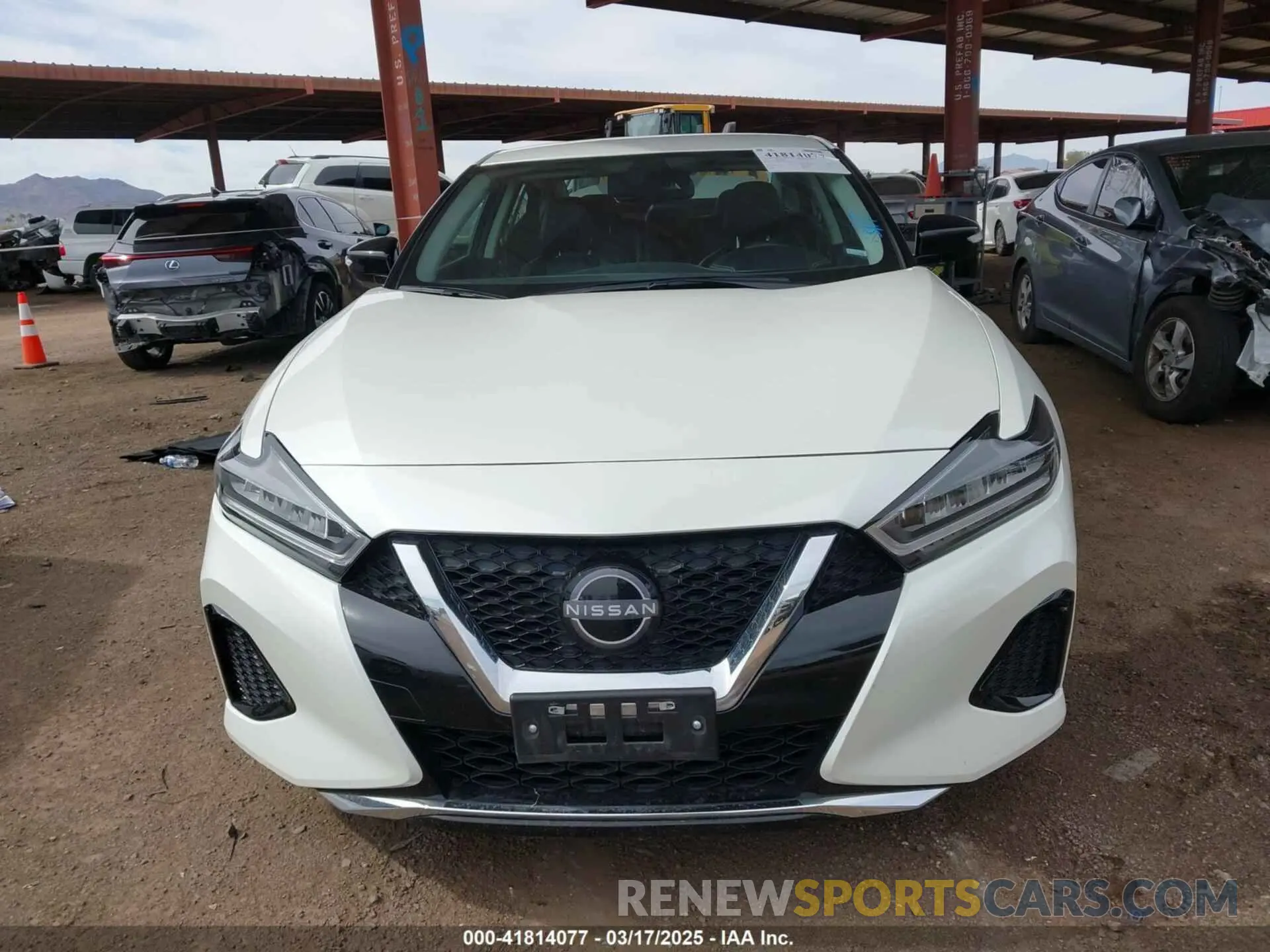 12 fotografías del automóvil dañado 1N4AA6CV2PC509307 NISSAN MAXIMA 2023