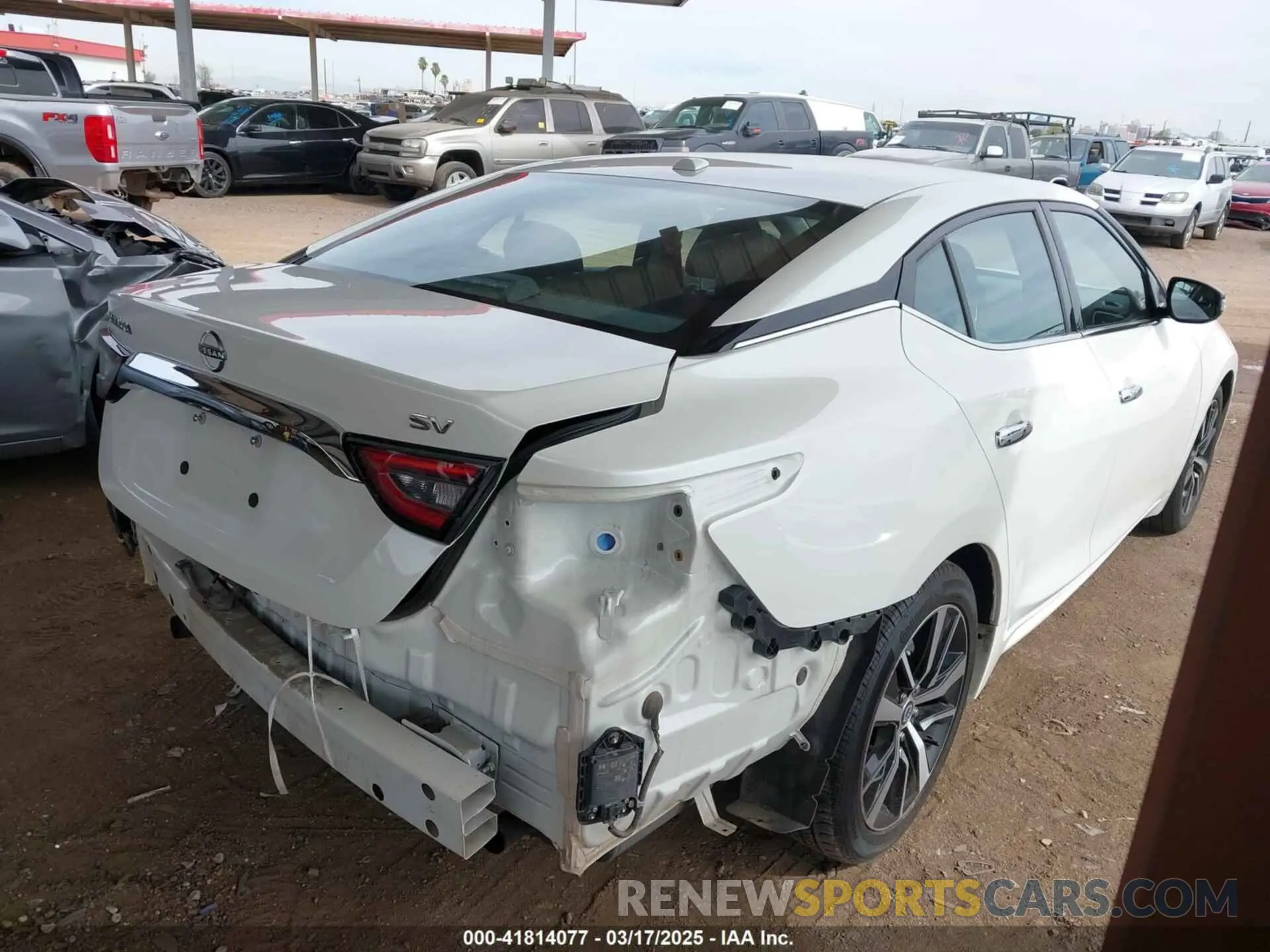 4 fotografías del automóvil dañado 1N4AA6CV2PC509307 NISSAN MAXIMA 2023