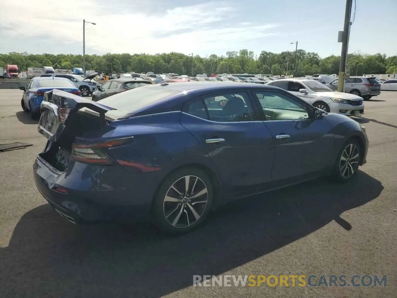 3 fotografías del automóvil dañado 1N4AA6CV2PC510702 NISSAN MAXIMA 2023