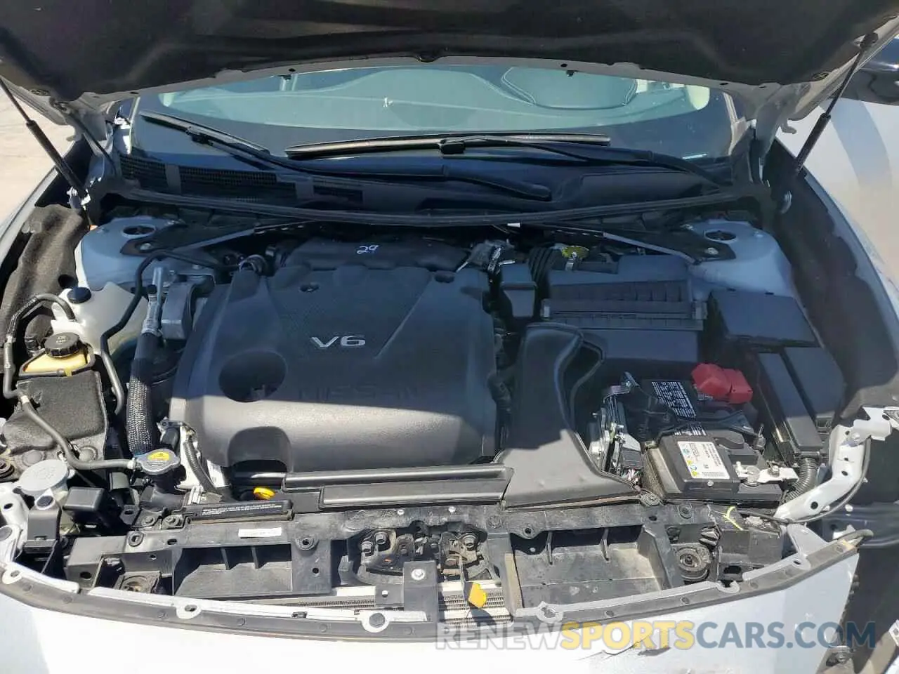 11 fotografías del automóvil dañado 1N4AA6CV3PC510272 NISSAN MAXIMA 2023