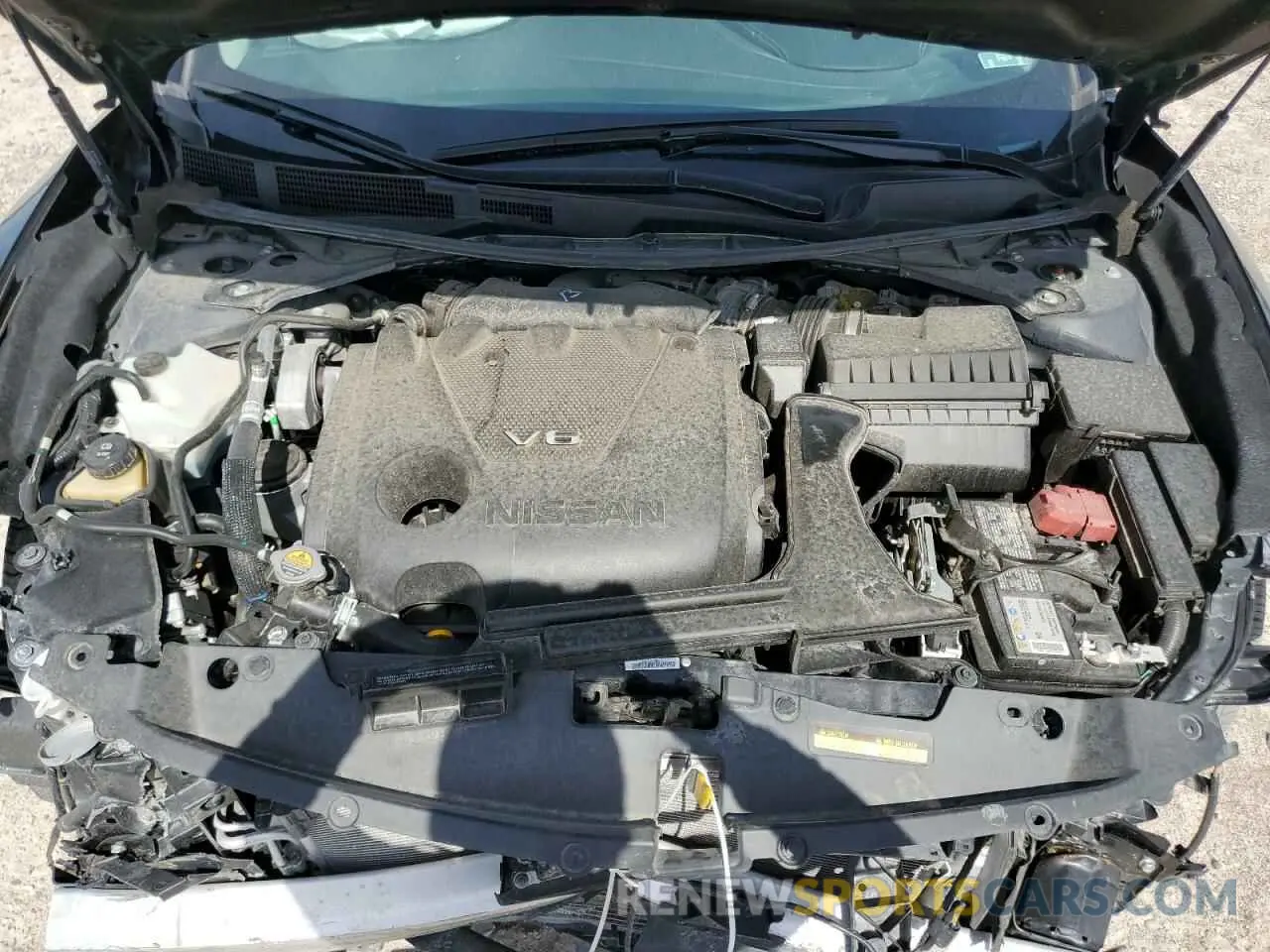 11 fotografías del automóvil dañado 1N4AA6CV5PC511116 NISSAN MAXIMA 2023