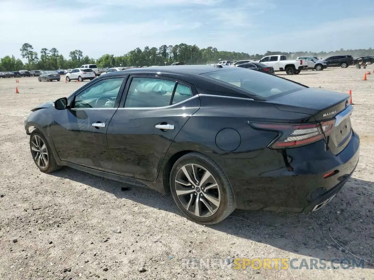 2 fotografías del automóvil dañado 1N4AA6CV5PC511116 NISSAN MAXIMA 2023