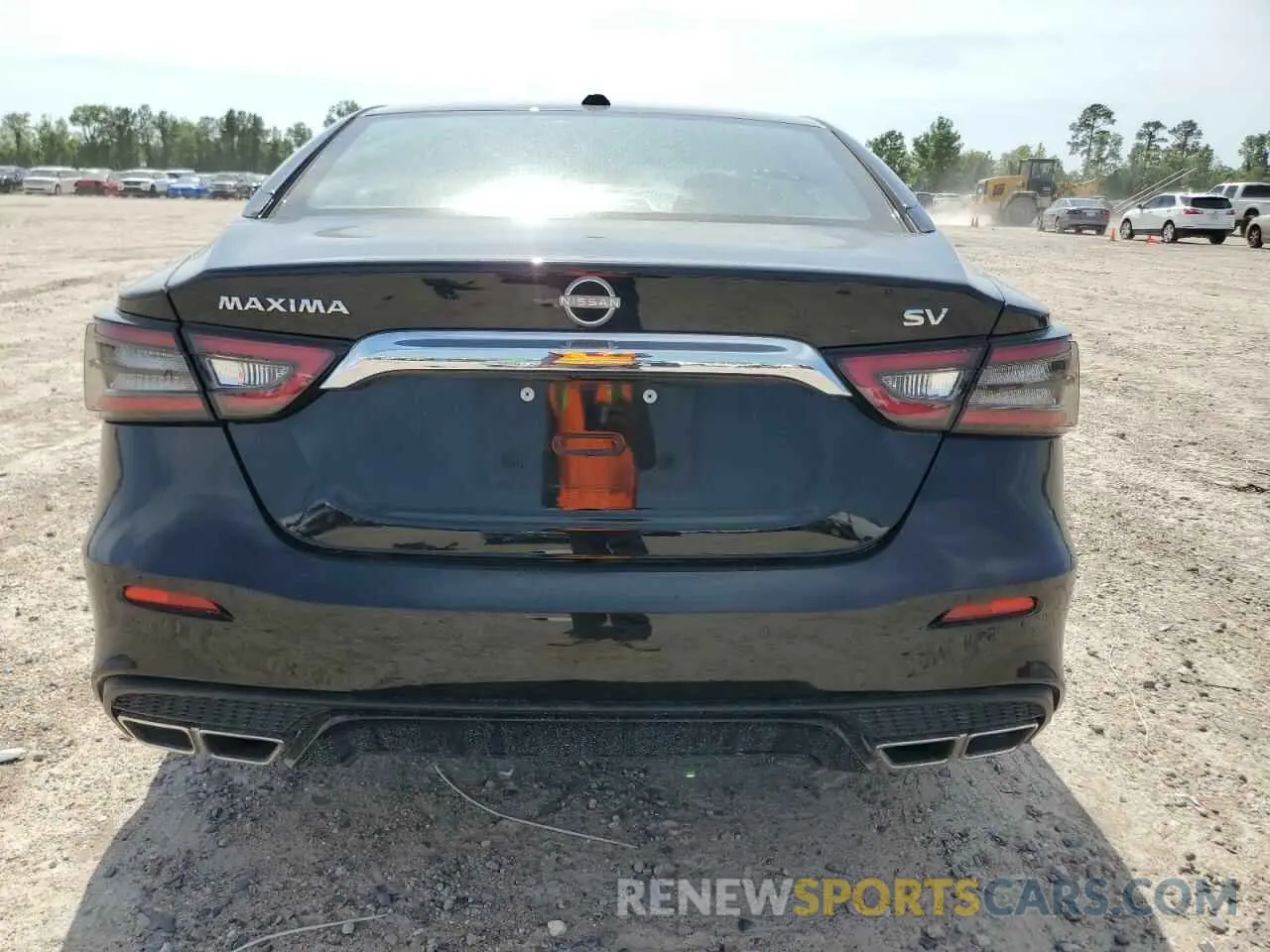 6 fotografías del automóvil dañado 1N4AA6CV5PC511116 NISSAN MAXIMA 2023