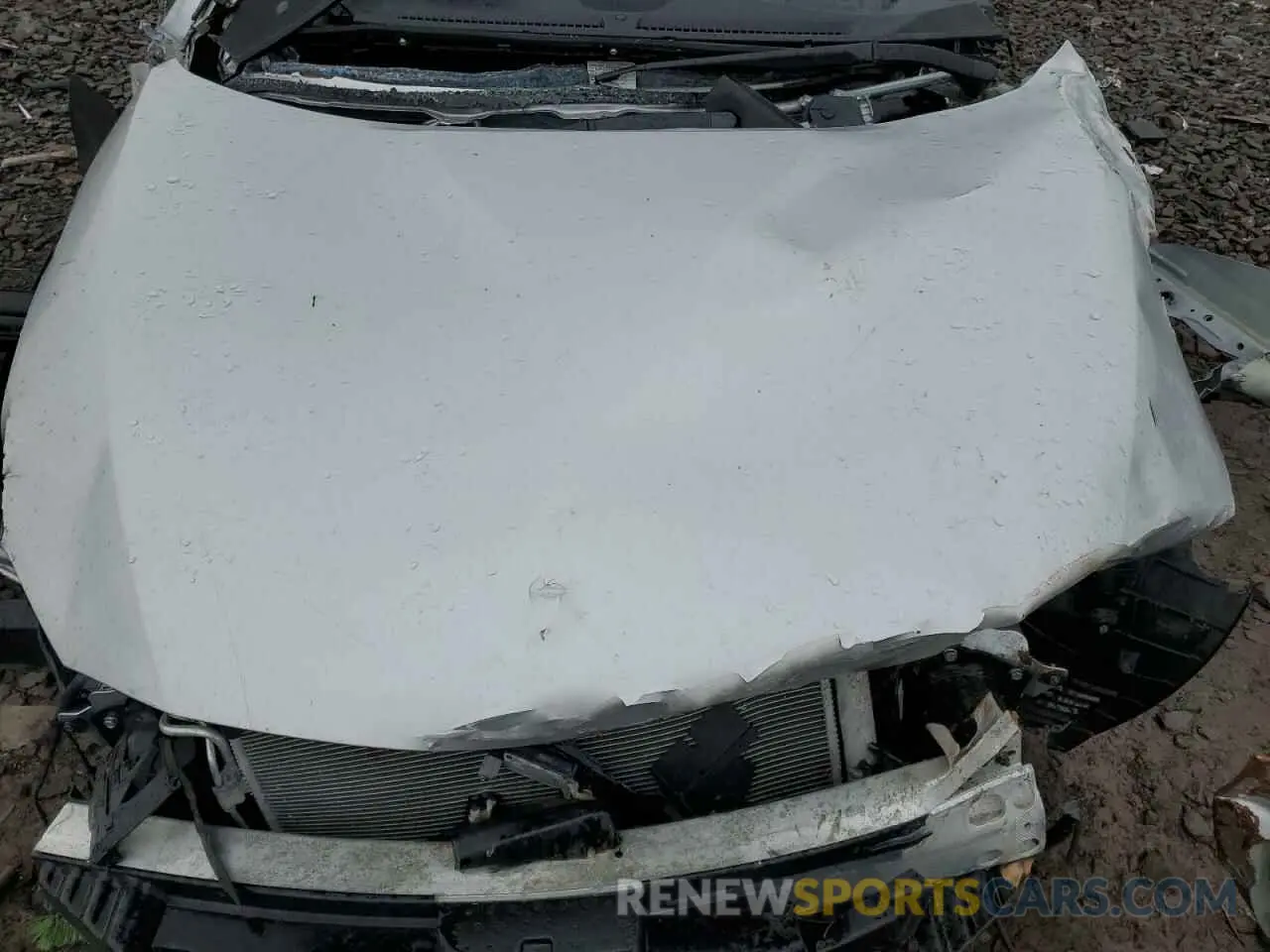 11 fotografías del automóvil dañado 1N4AA6CV5PC511312 NISSAN MAXIMA 2023