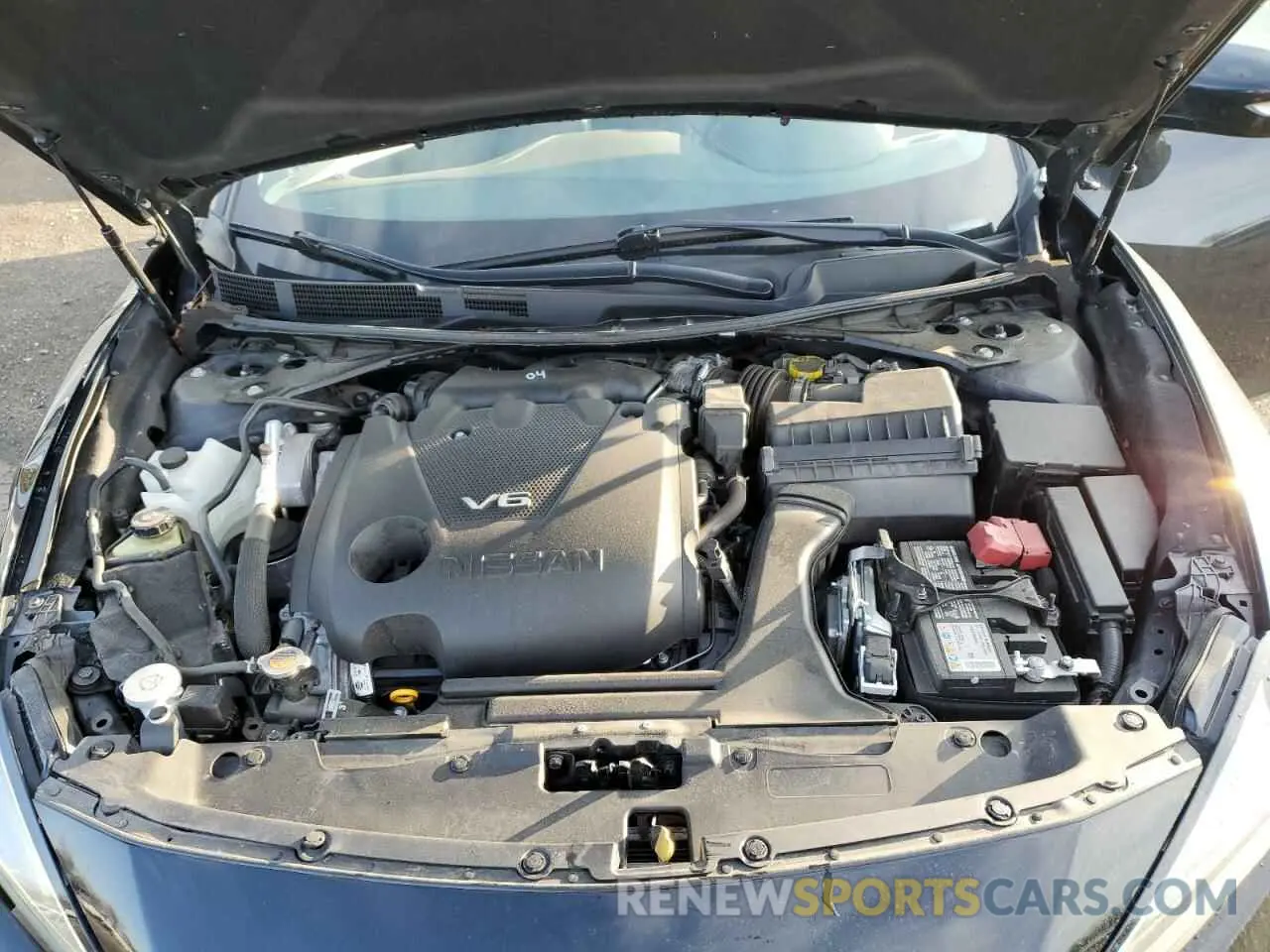 11 fotografías del automóvil dañado 1N4AA6CV6PC510850 NISSAN MAXIMA 2023