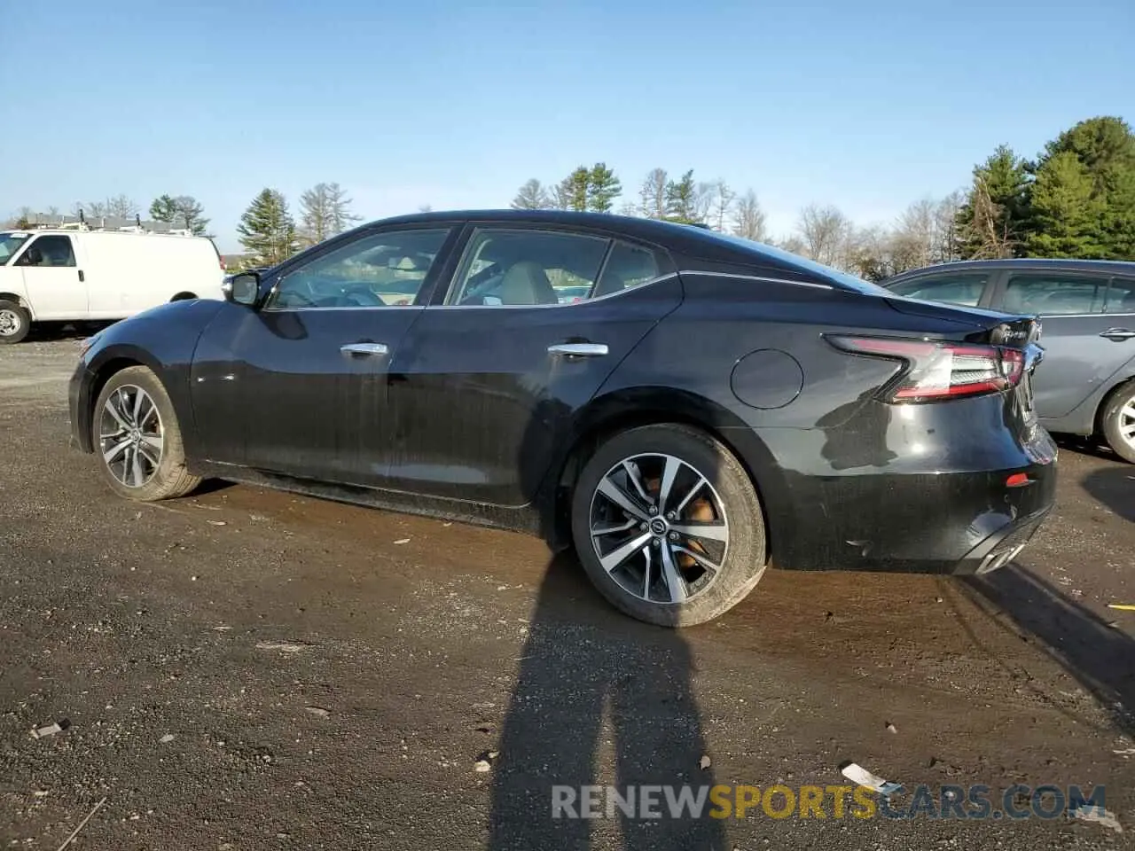 2 fotografías del automóvil dañado 1N4AA6CV6PC510850 NISSAN MAXIMA 2023