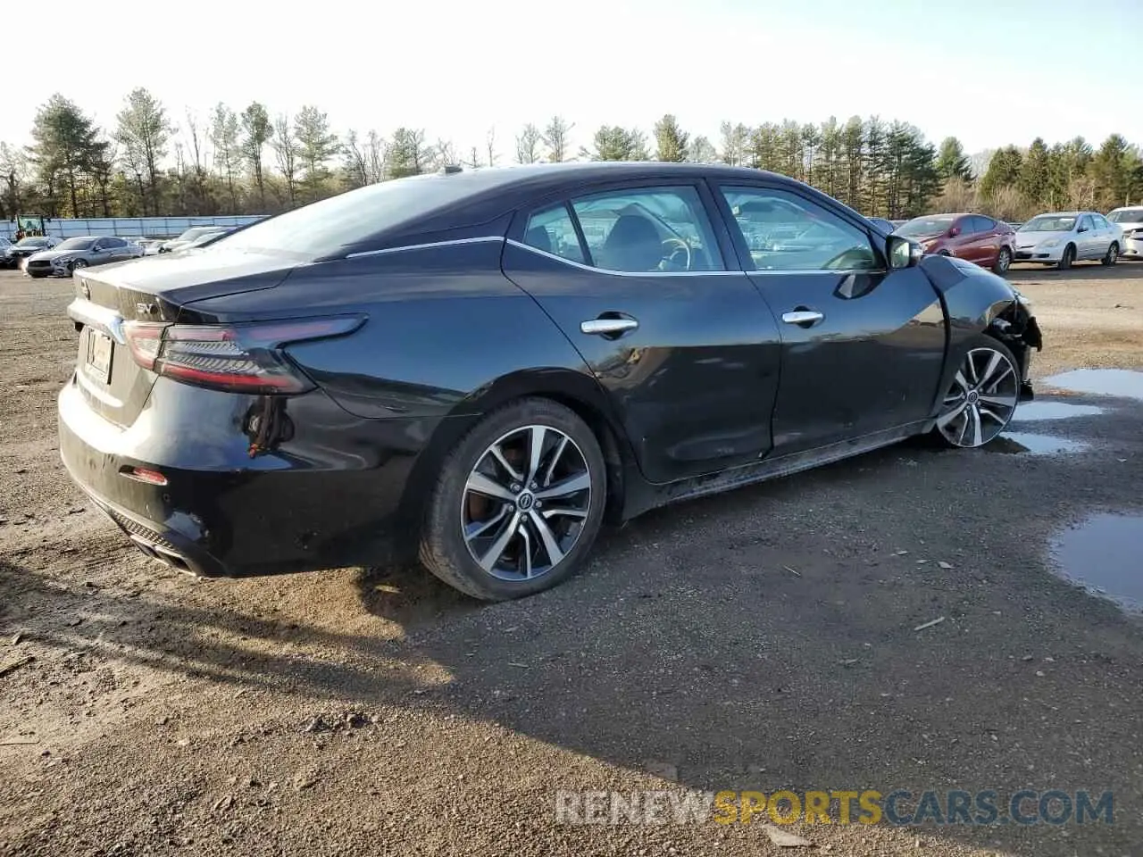 3 fotografías del automóvil dañado 1N4AA6CV6PC510850 NISSAN MAXIMA 2023