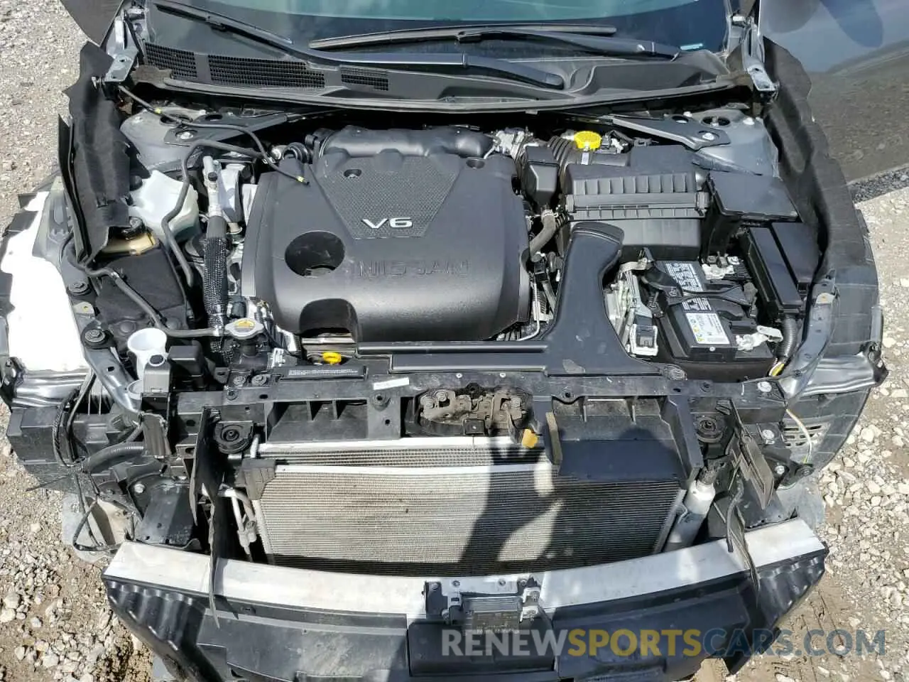 11 fotografías del automóvil dañado 1N4AA6CV7PC508749 NISSAN MAXIMA 2023